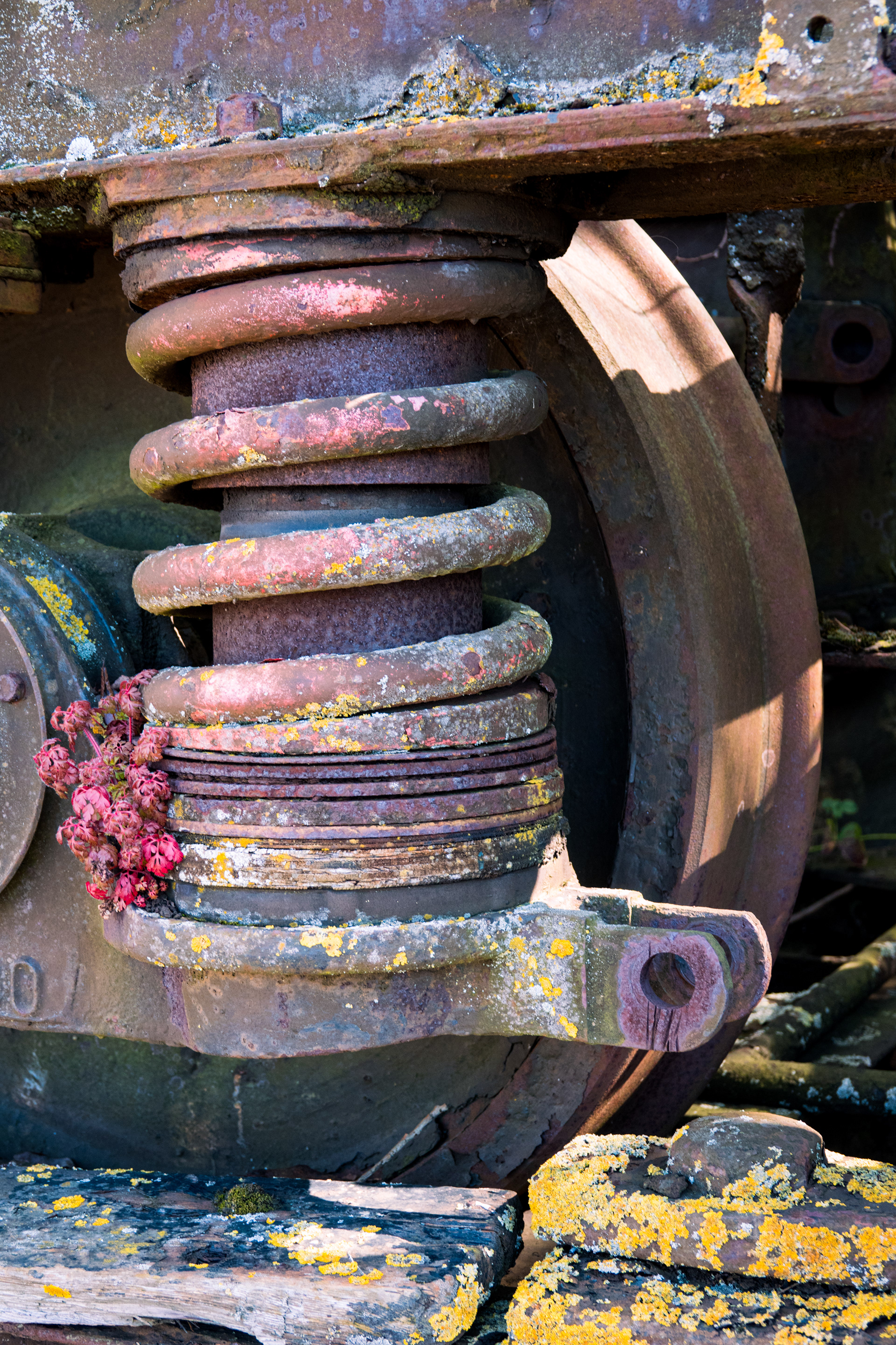 Suspension with flowers