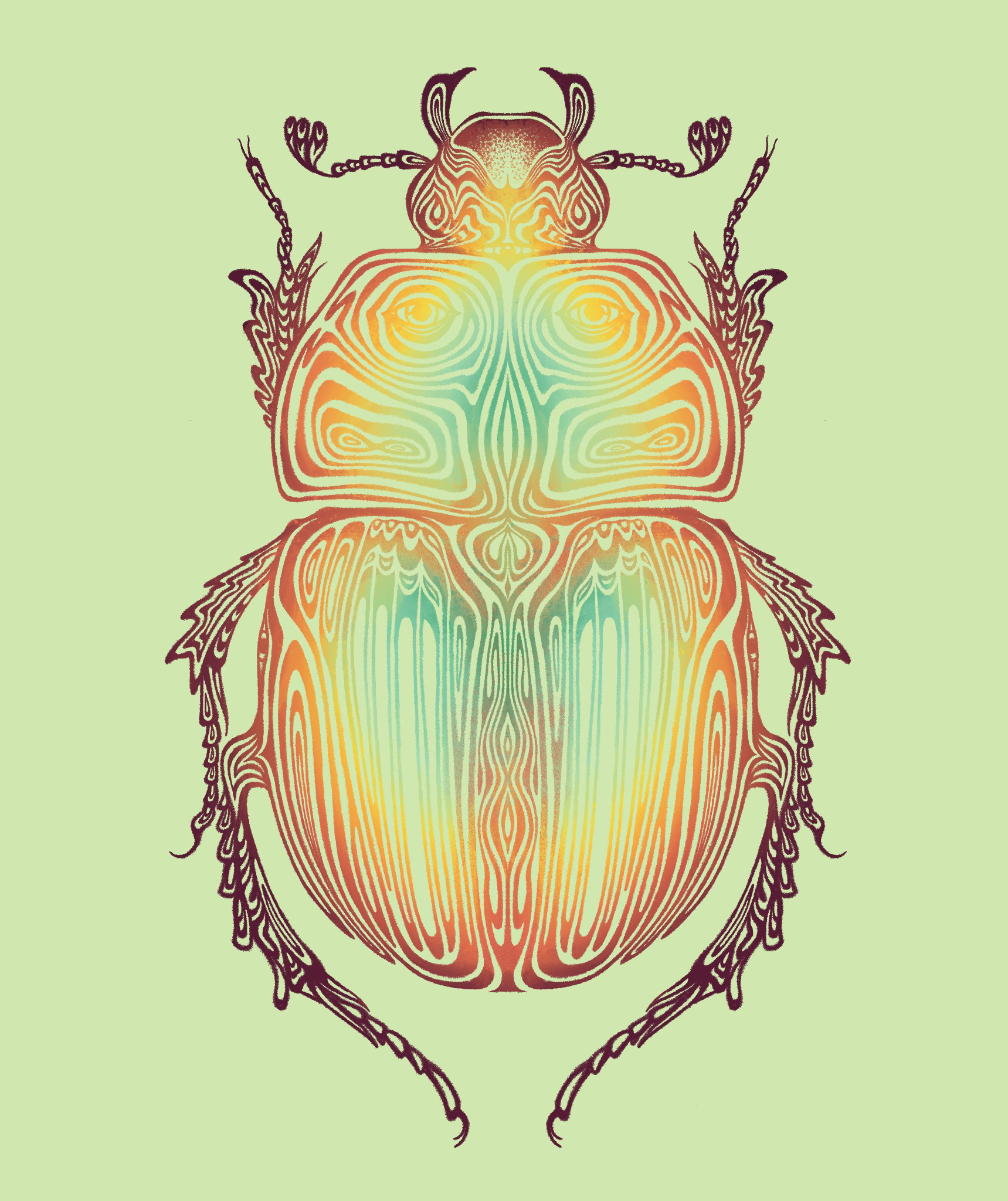 scarab