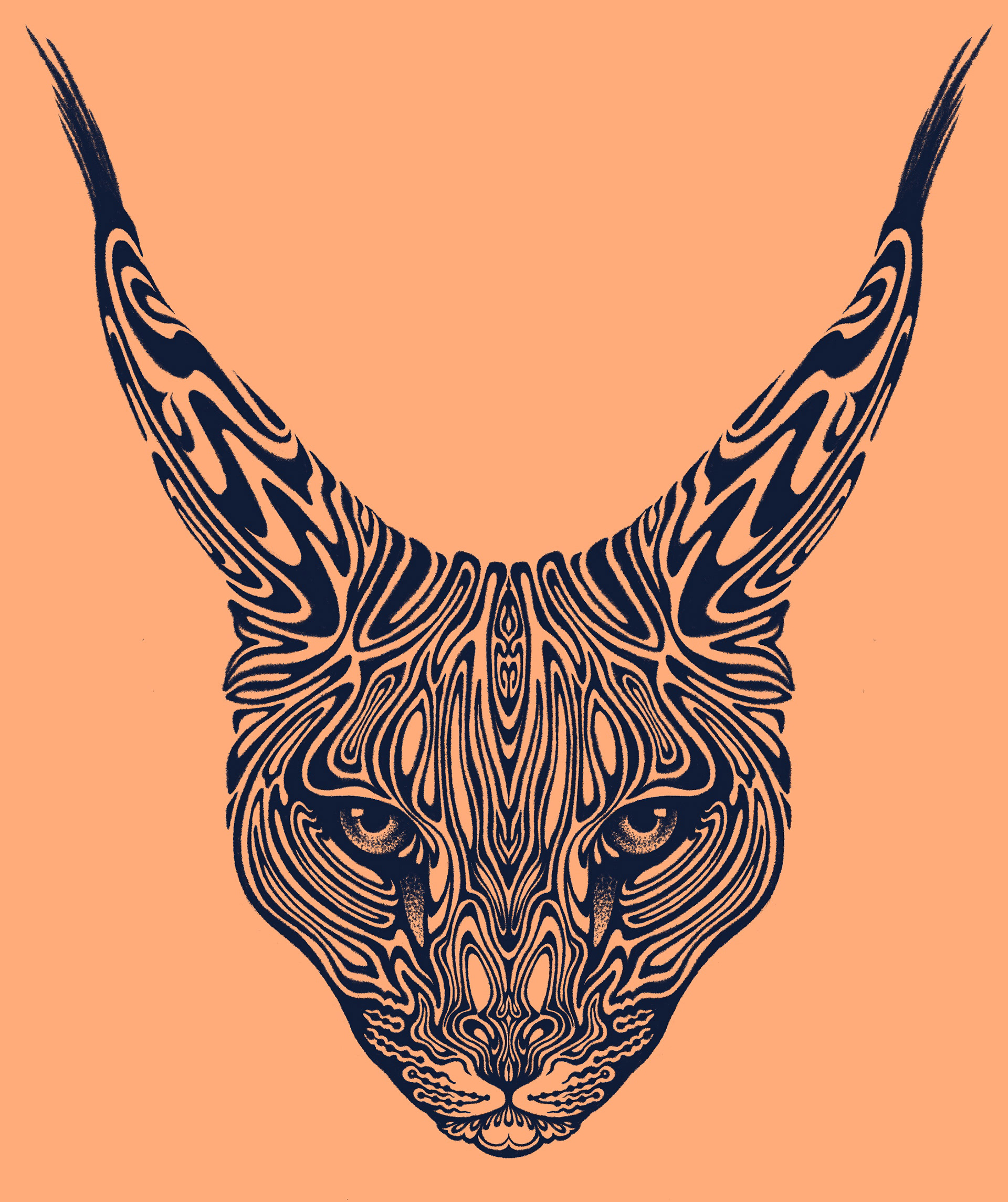 caracal