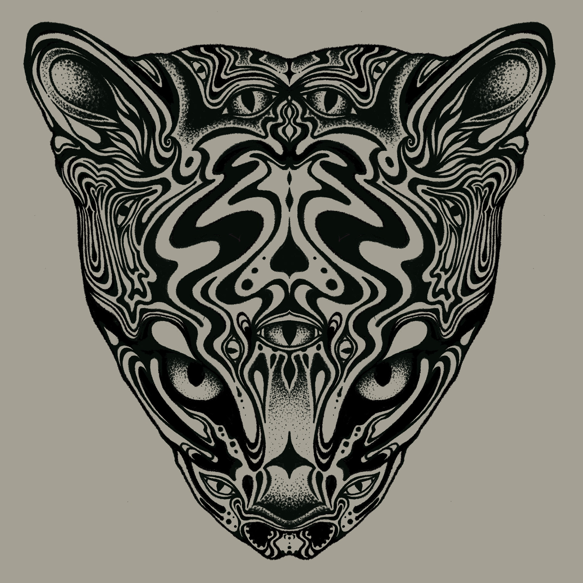 margay