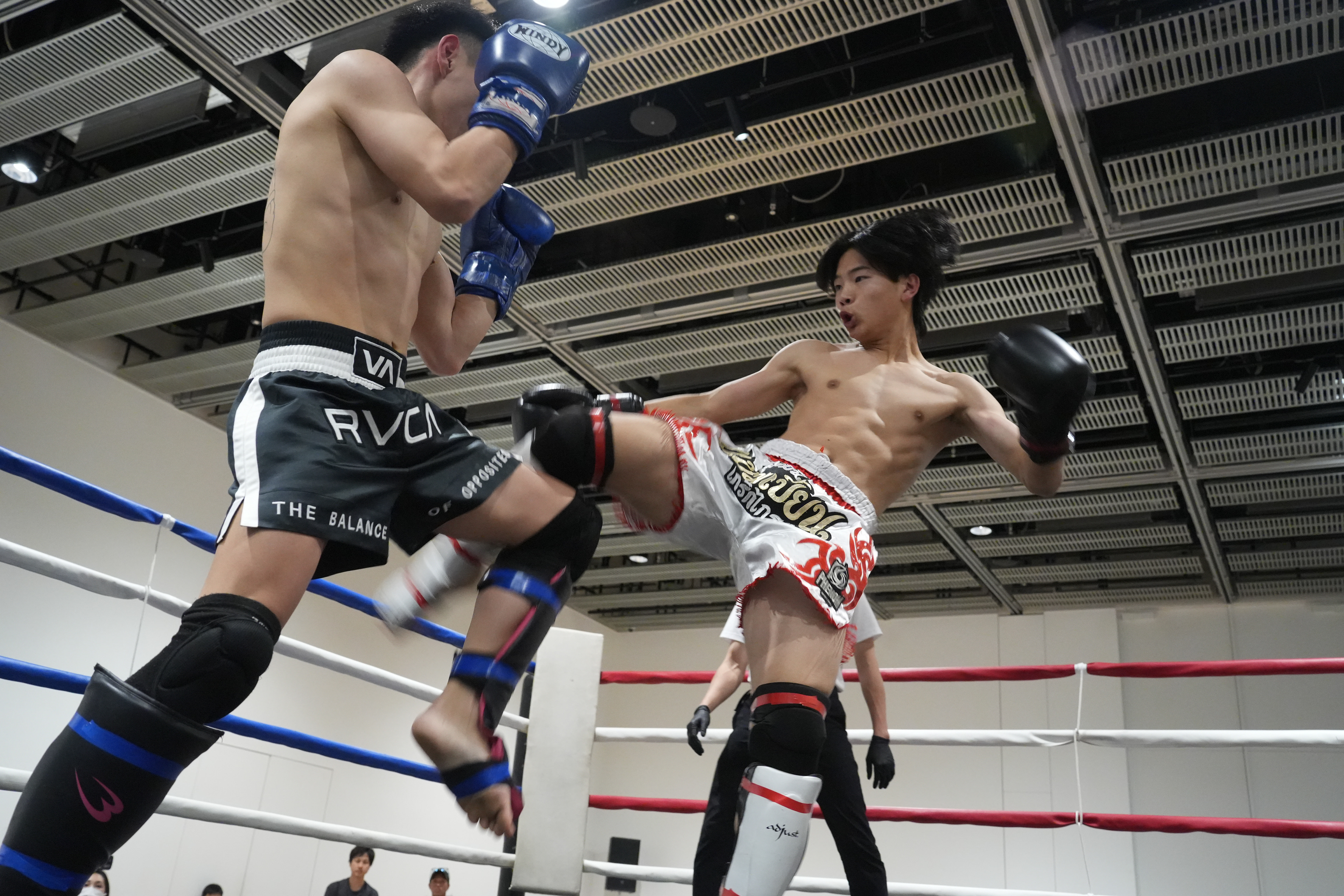 KICK BOXING DEAD HEAT
