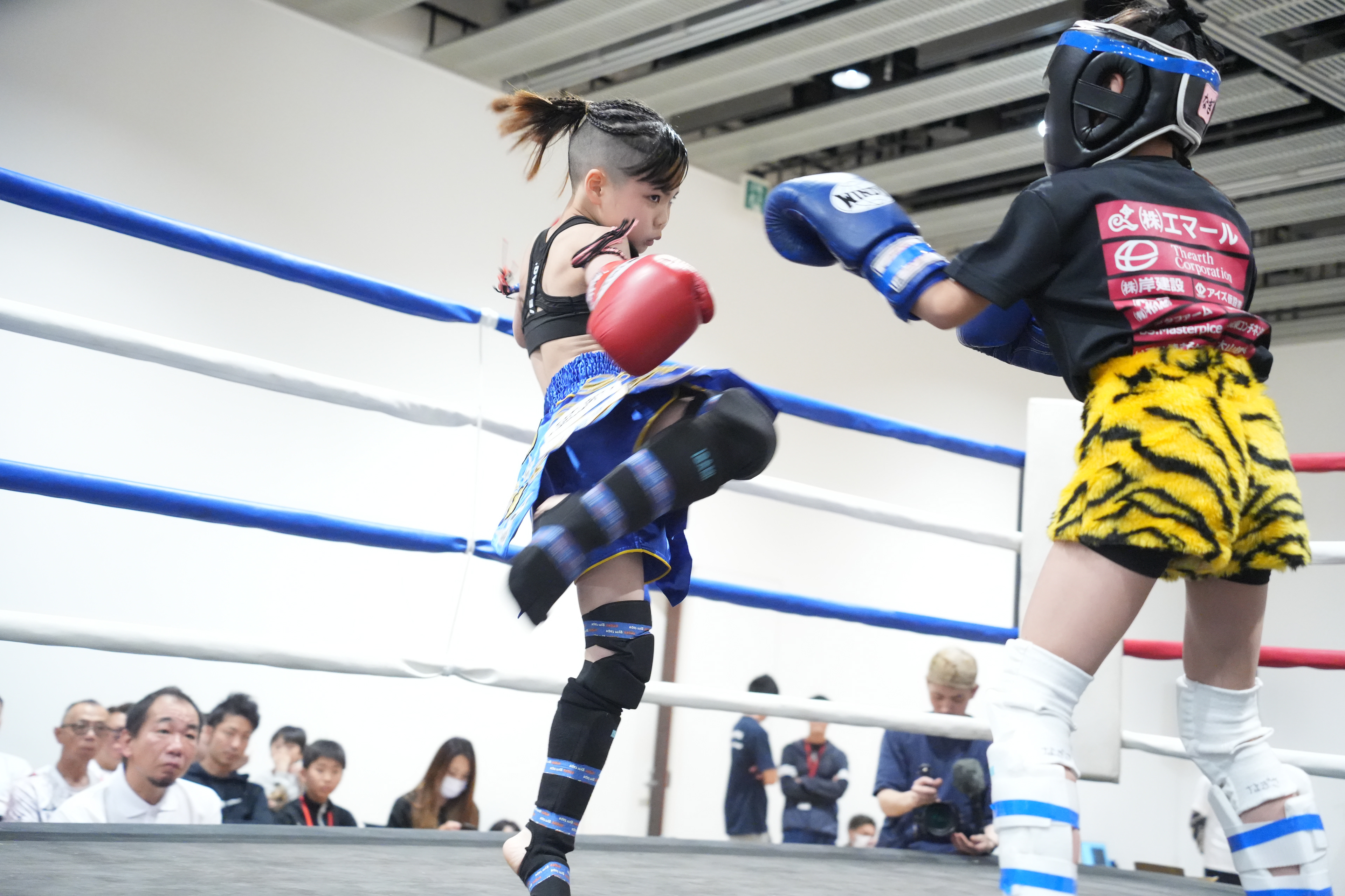 KICK BOXING DEAD HEAT