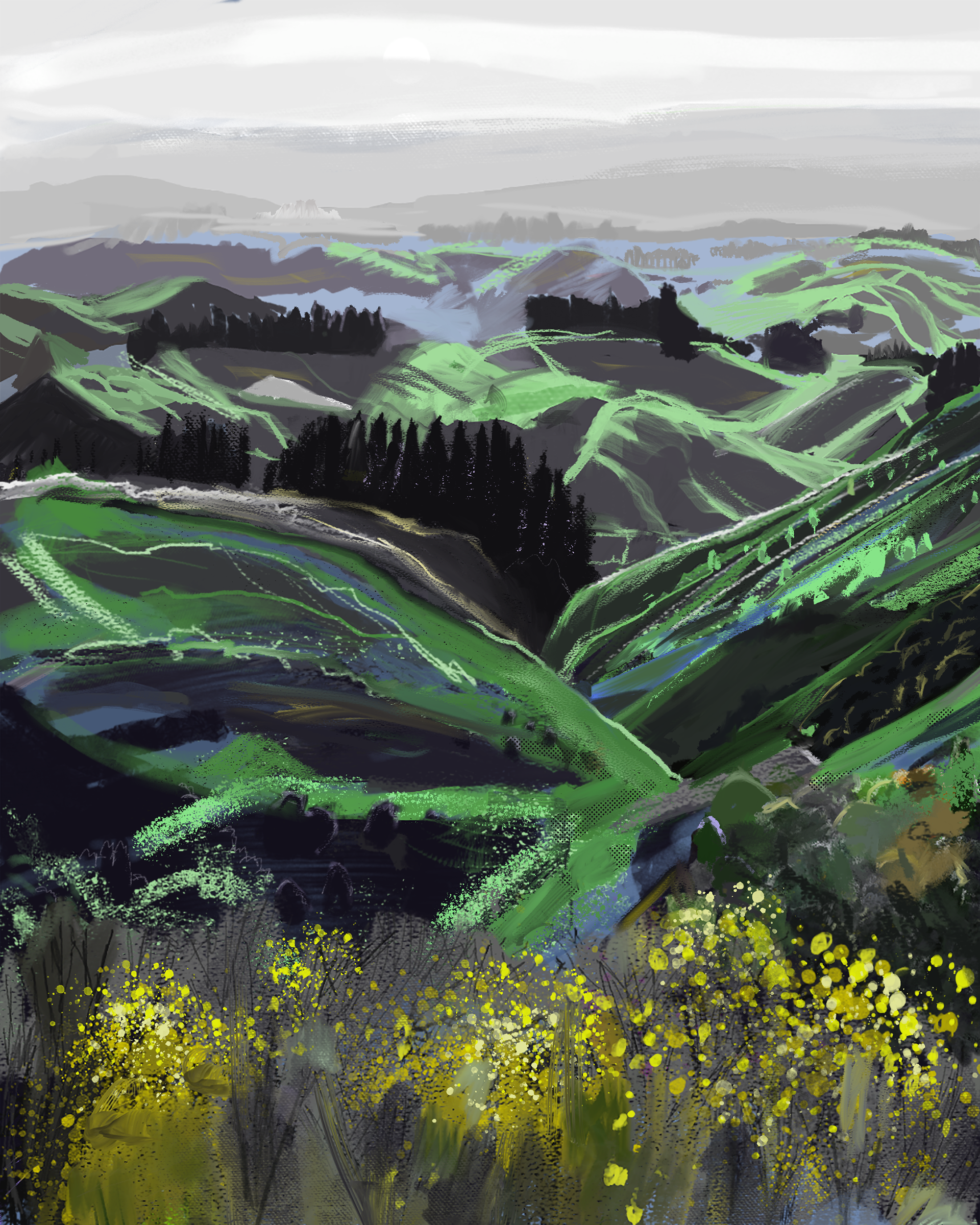 Saddle Valley