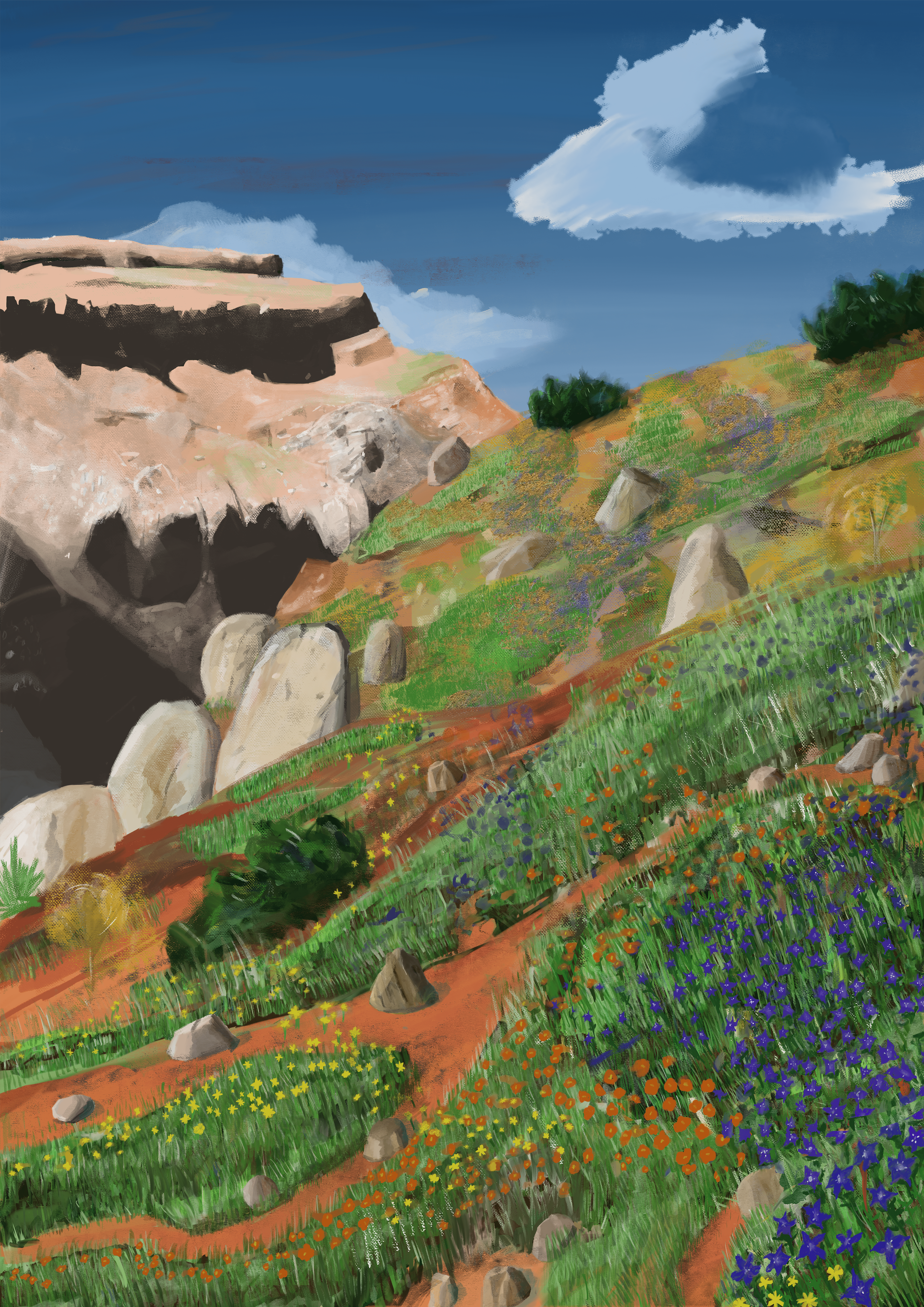 High Altitude Landscape