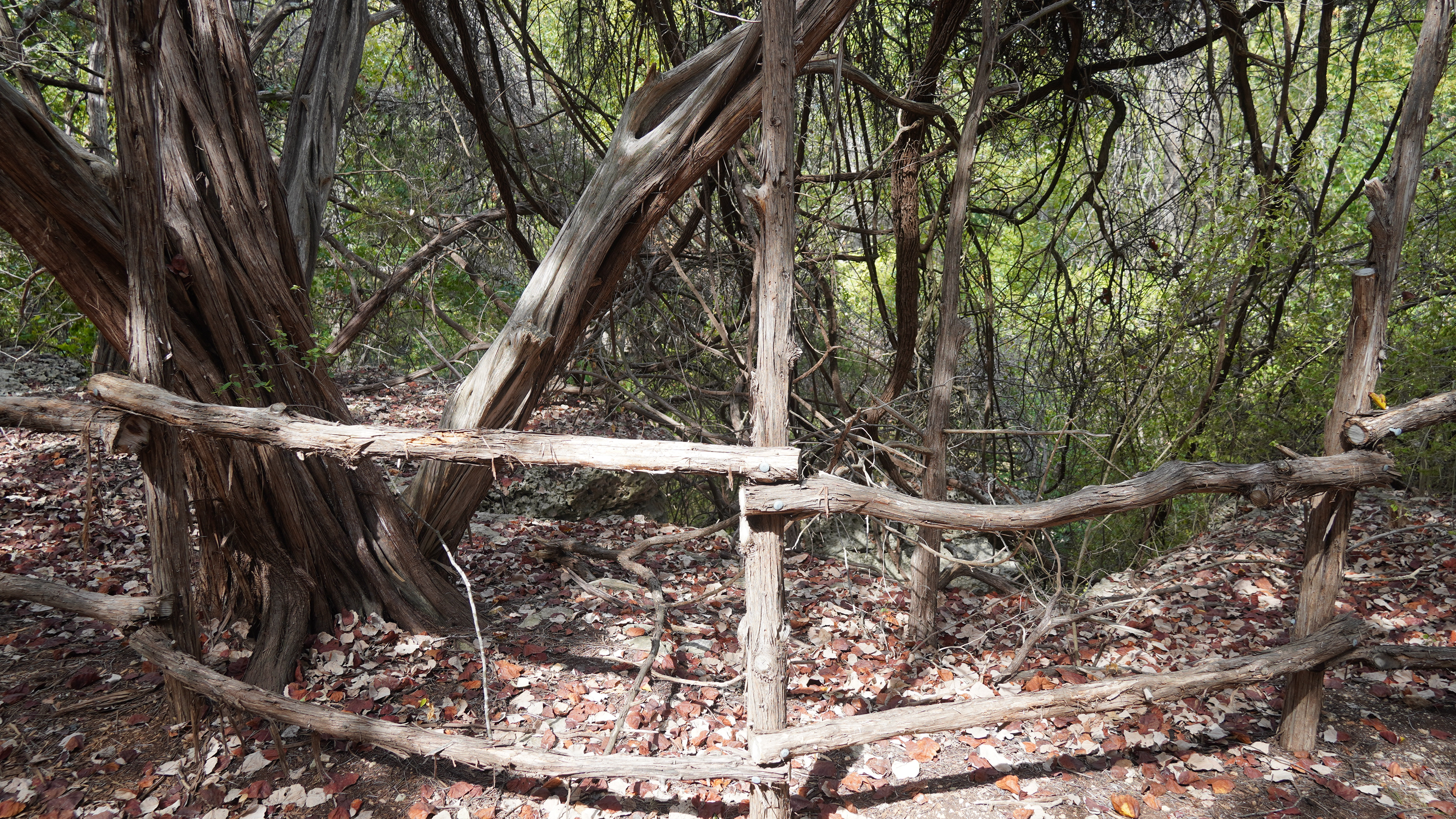 The trees taking the same color as the fence. 