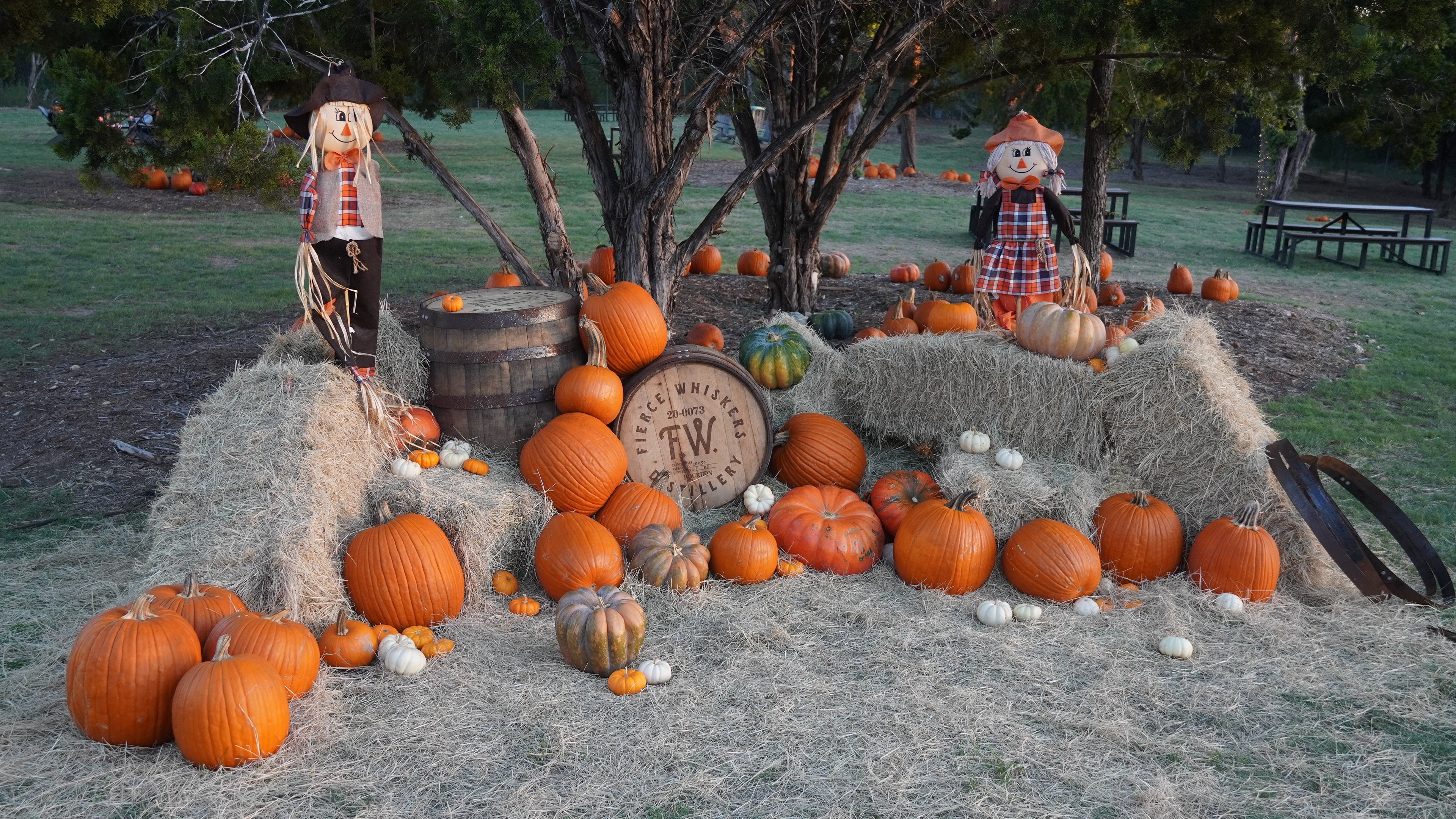 Distillery having a fall pumpkin patch decoration.