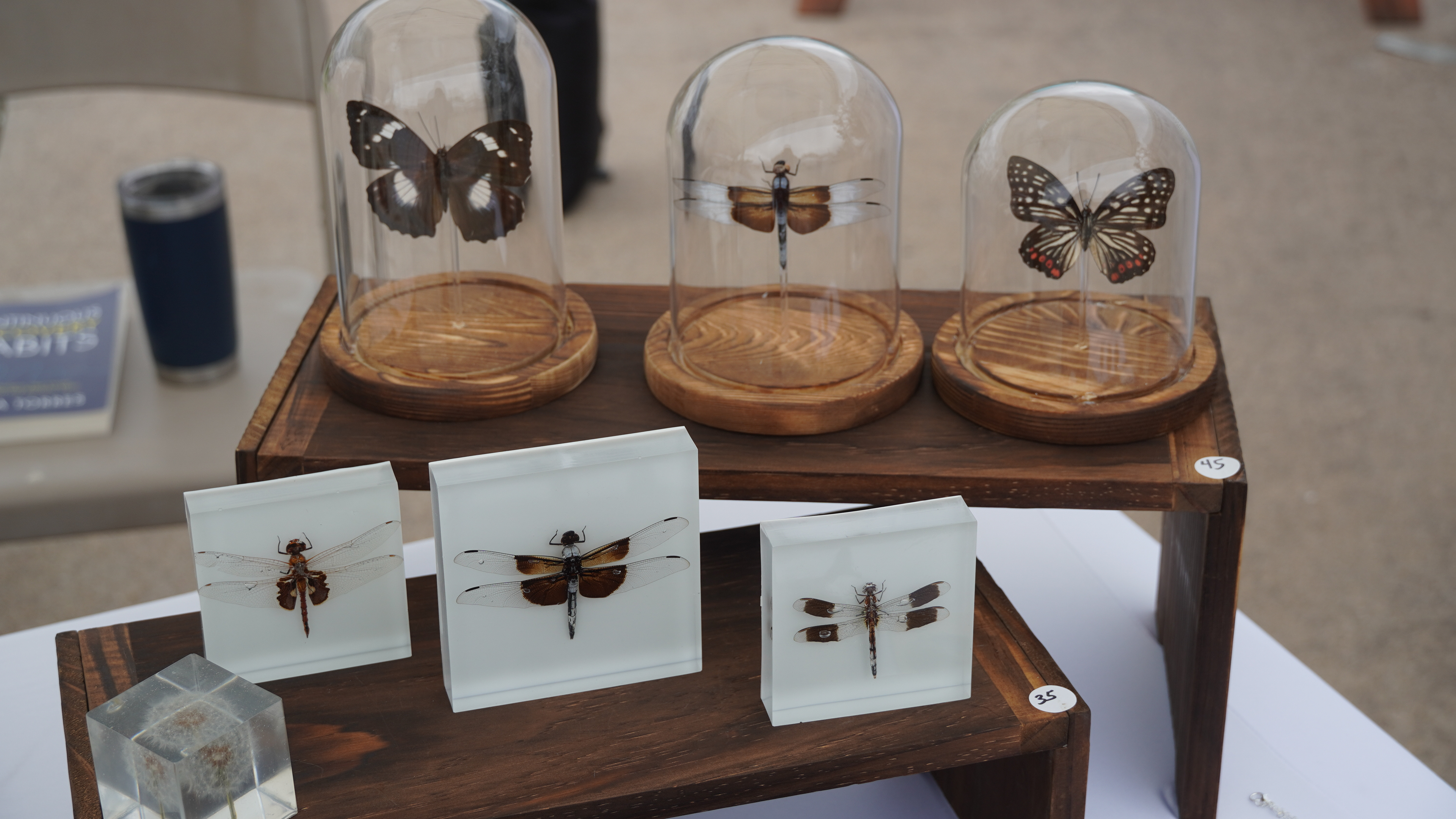 Taxidermist out of the Austin area