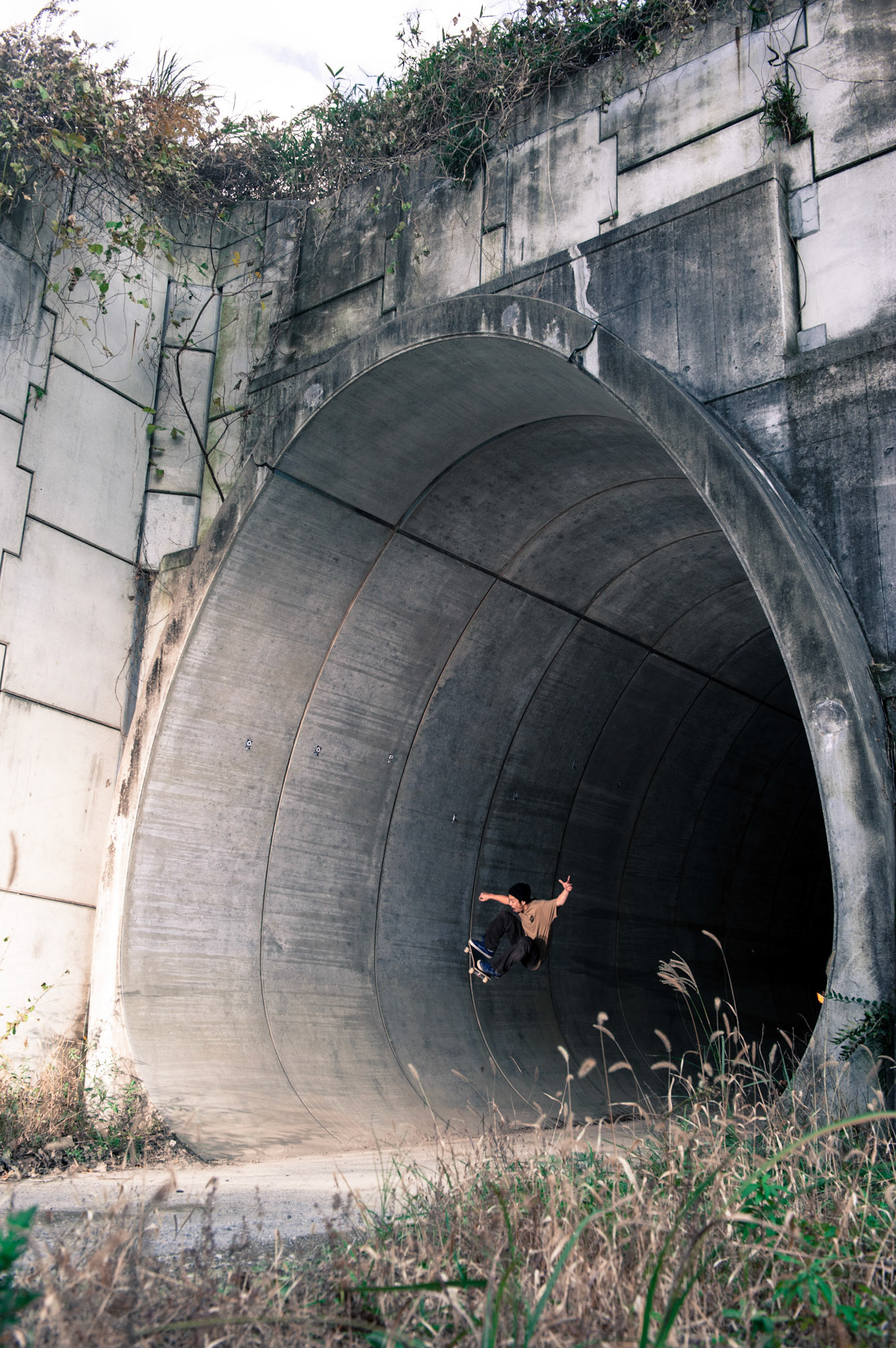 Kazunori Hashimoto / ollie