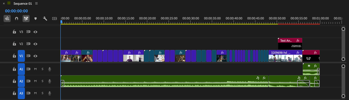 Premiere Pro Project timeline