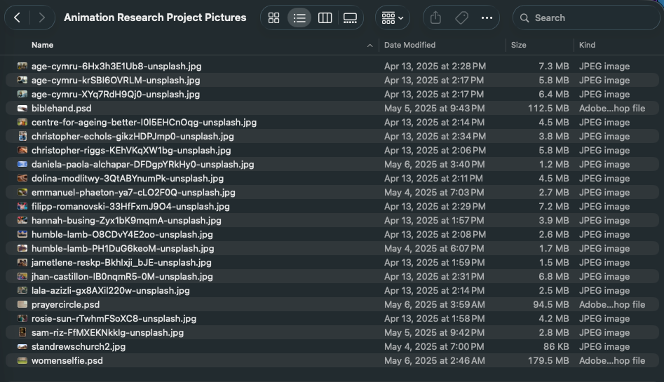 Project pictures