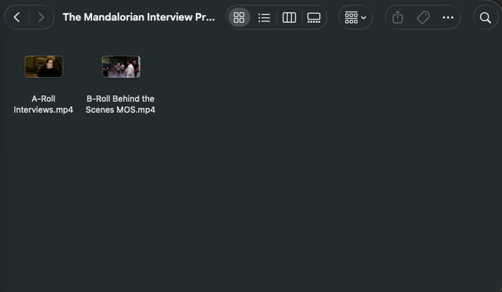 Folder of interview and b-roll footage used