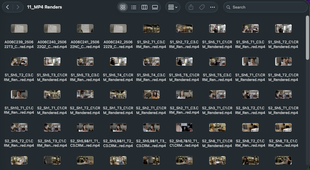 Folder of the project's compiled footage