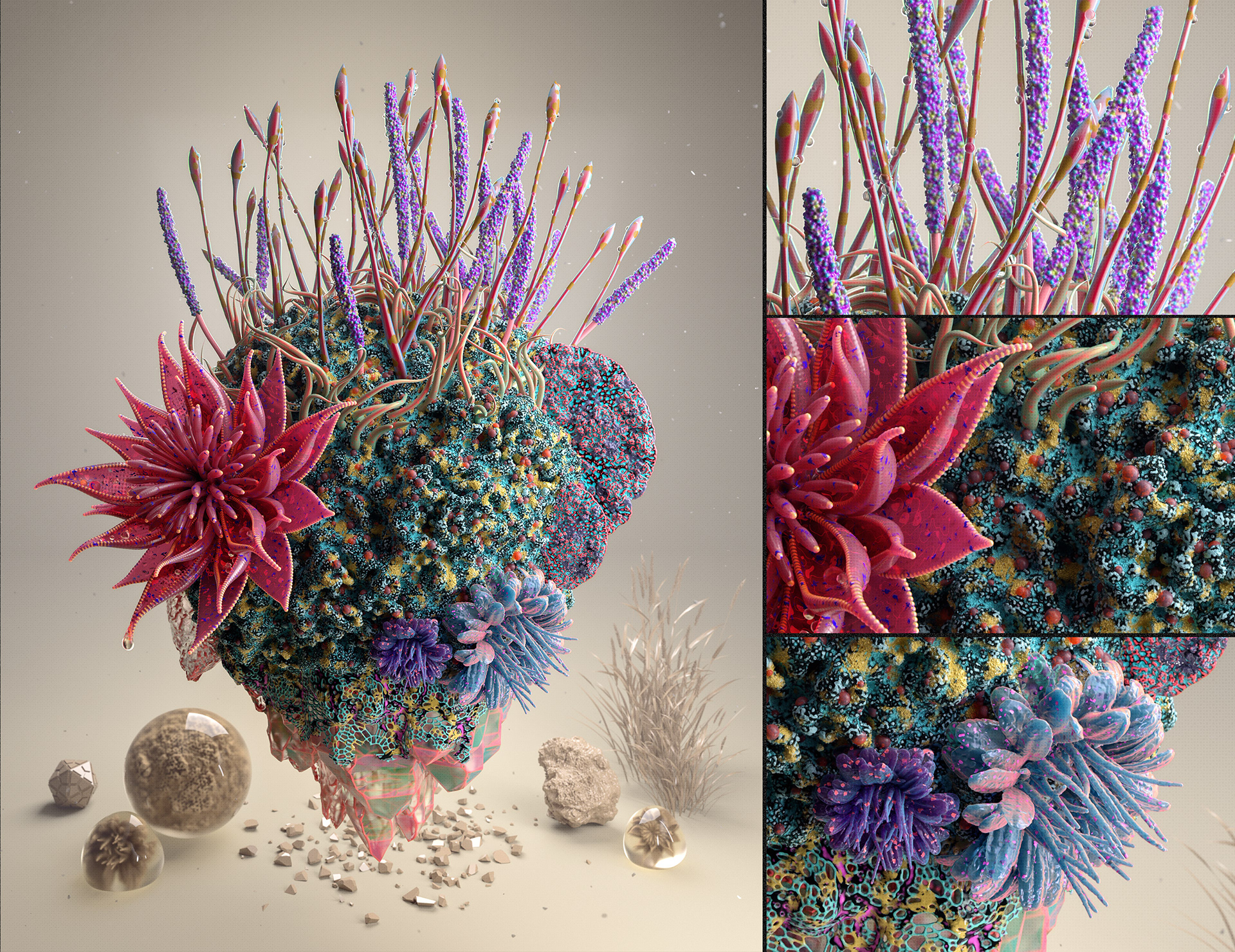 Cofloral I. a colorful generative structure.
