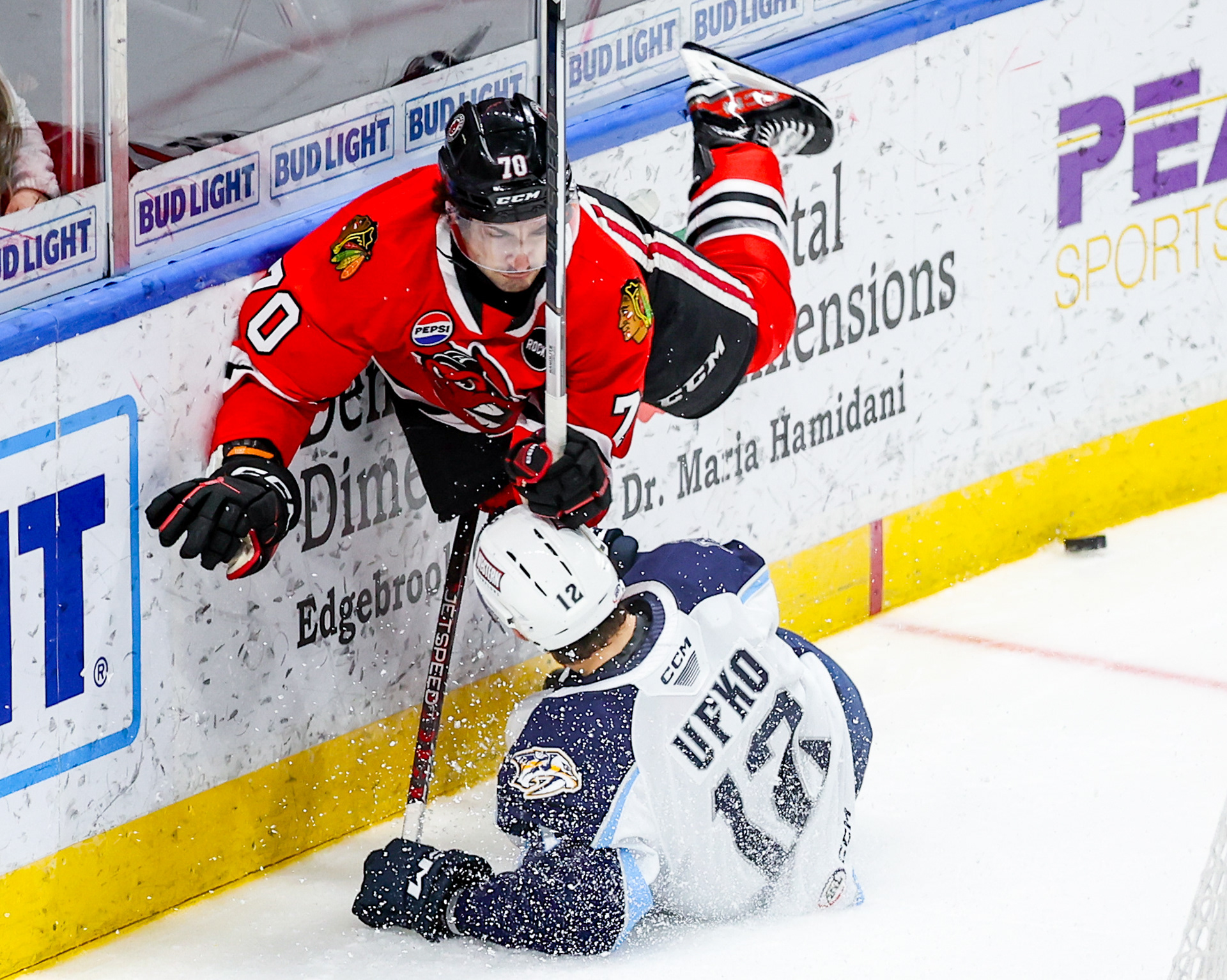 Rockford IceHogs/Milwaukee Admirals