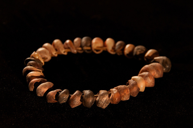 A recreation of a shell bead necklace as it might have been worn by Homo sapiens 75 000 years ago. ©Craig Foster