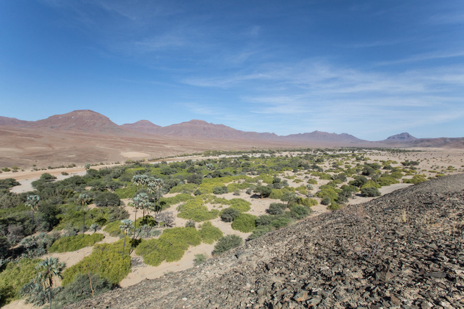 Looking over the relatively lush Hoarusib River valley from a hill in Purros Conservancy.