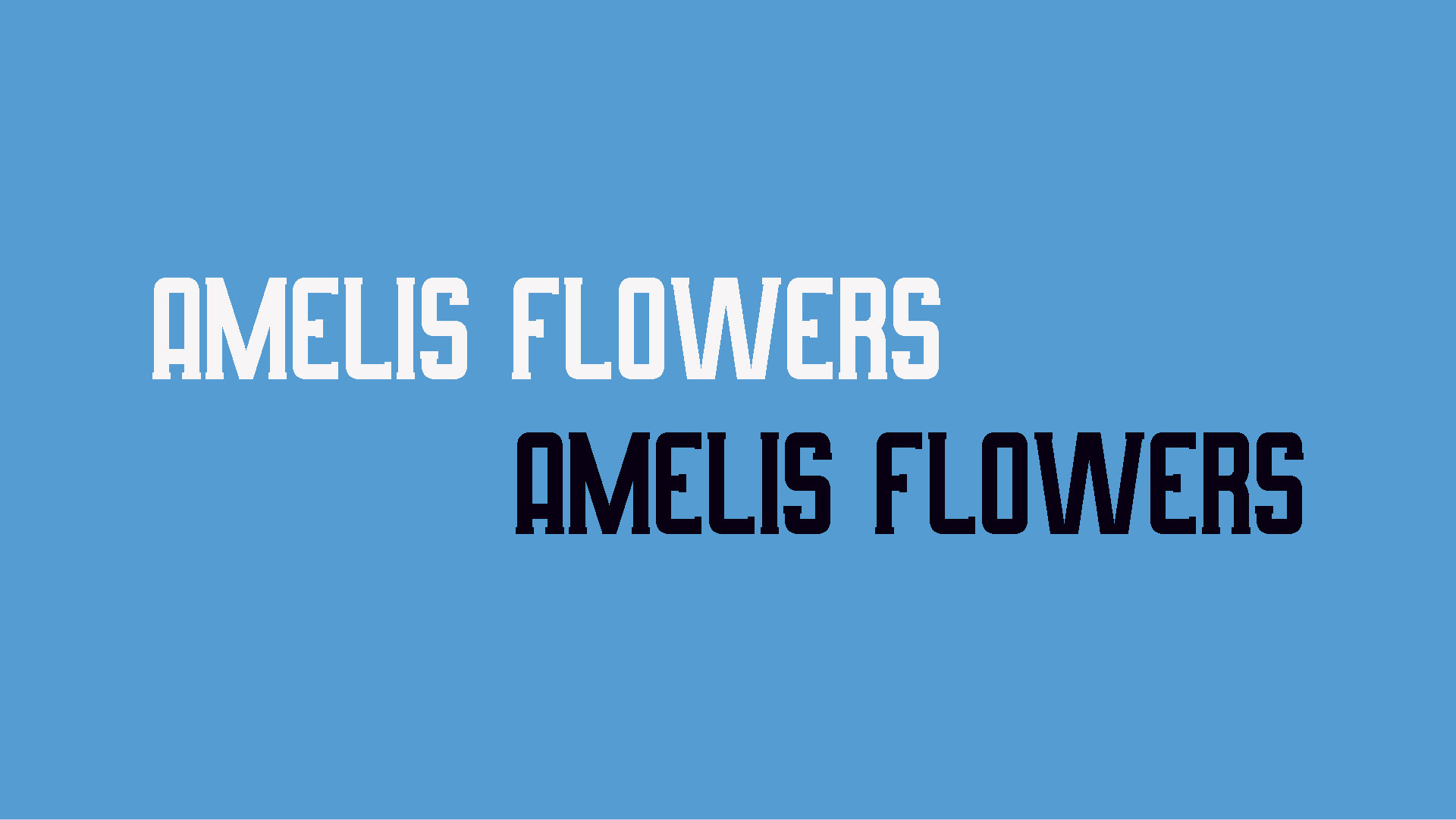 Amelis Flowers logo without icon