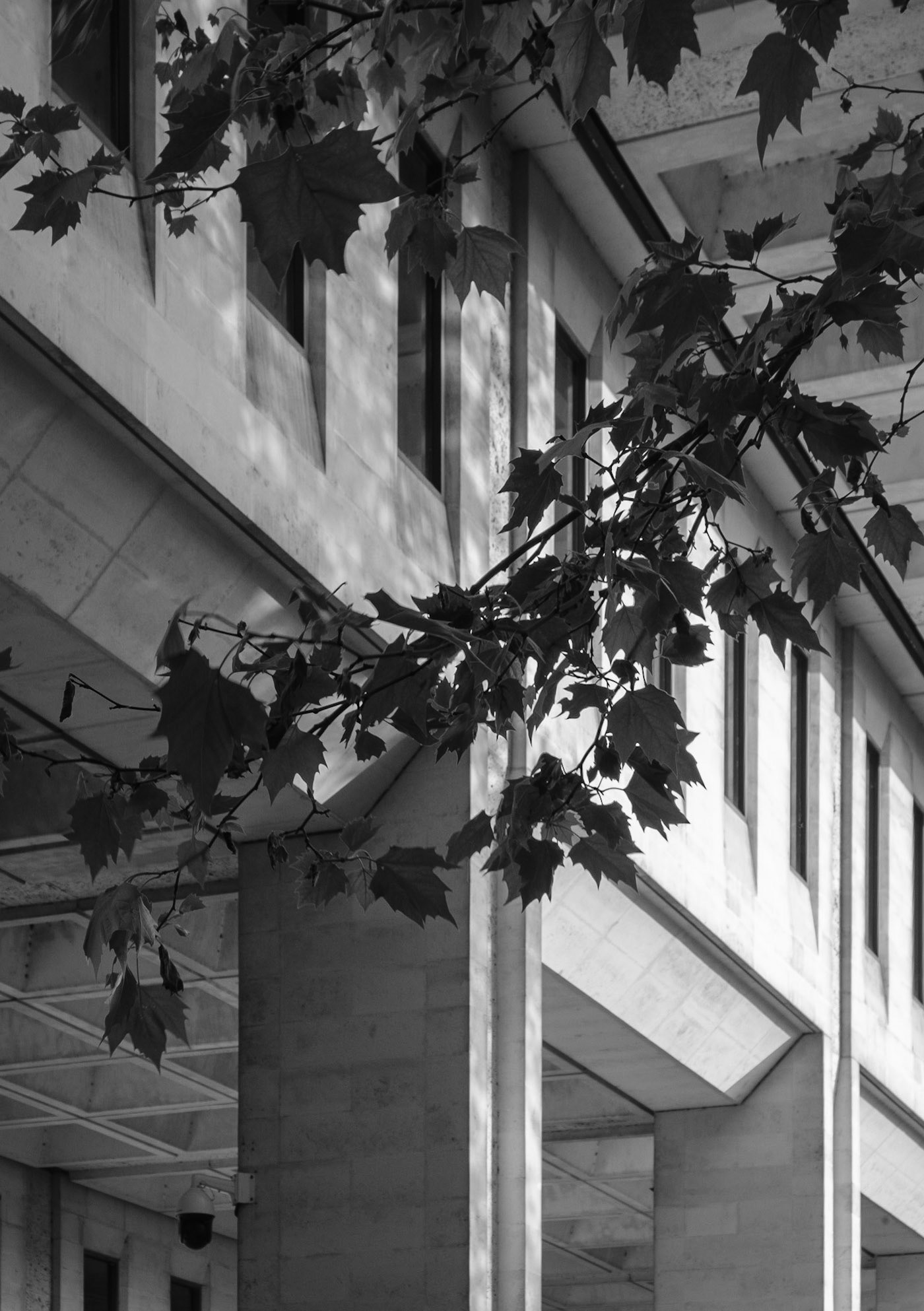 Crown Buildings. Phase II. ©Kimberley Harris 2023