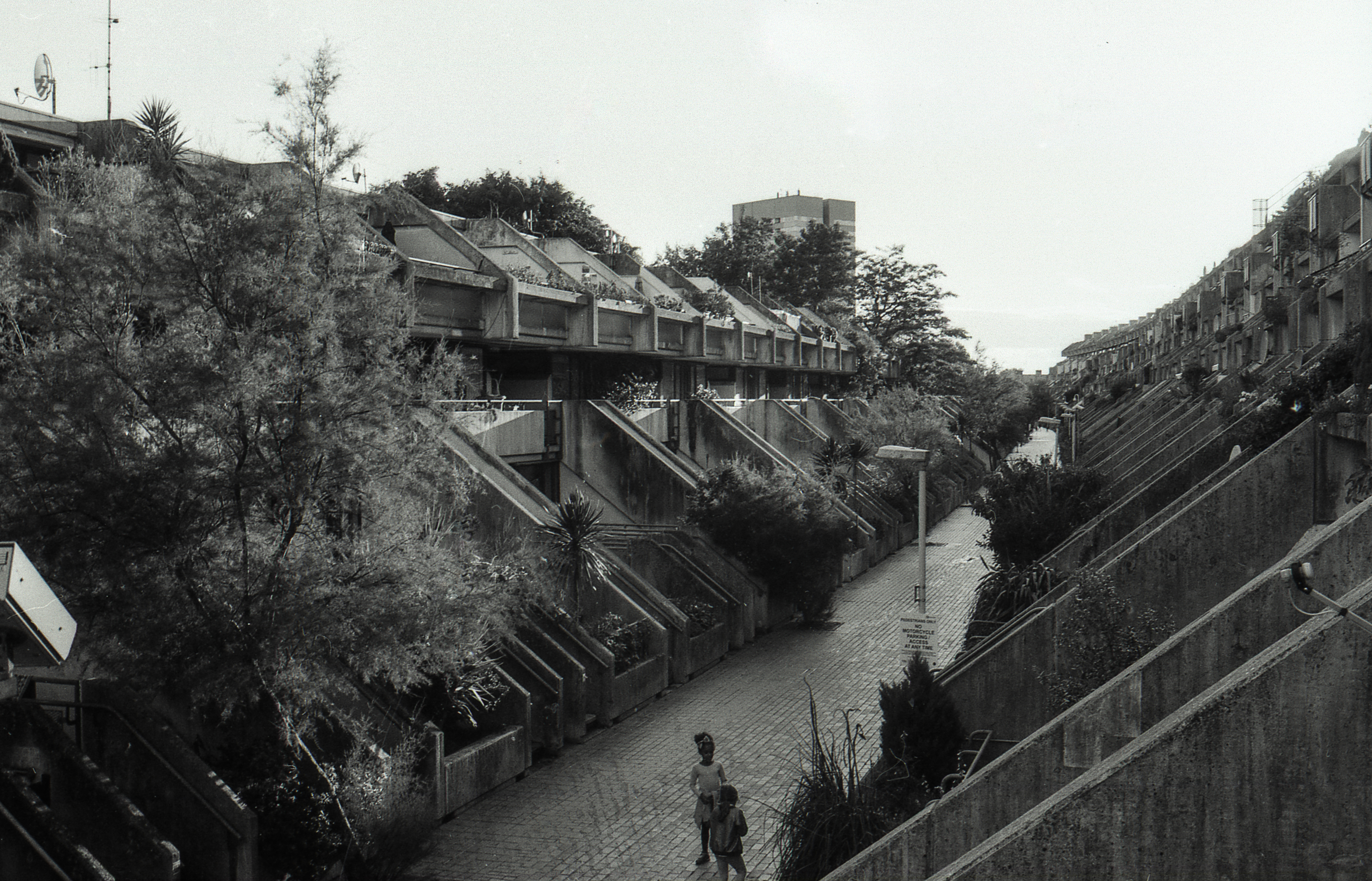 Alexandra Road: 35mm film