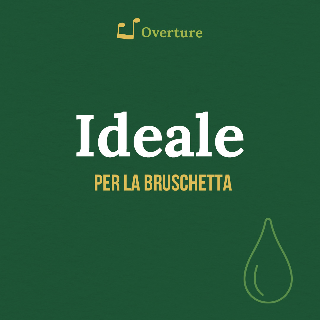 Client: MONINI Agency: CAFFEINA | Developed modern, engaging social templates for Monini to revitalize their brand image, infusing traditional values with a contemporary and youthful vibe.