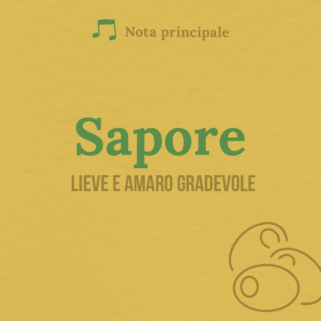 Client: MONINI Agency: CAFFEINA | Developed modern, engaging social templates for Monini to revitalize their brand image, infusing traditional values with a contemporary and youthful vibe.