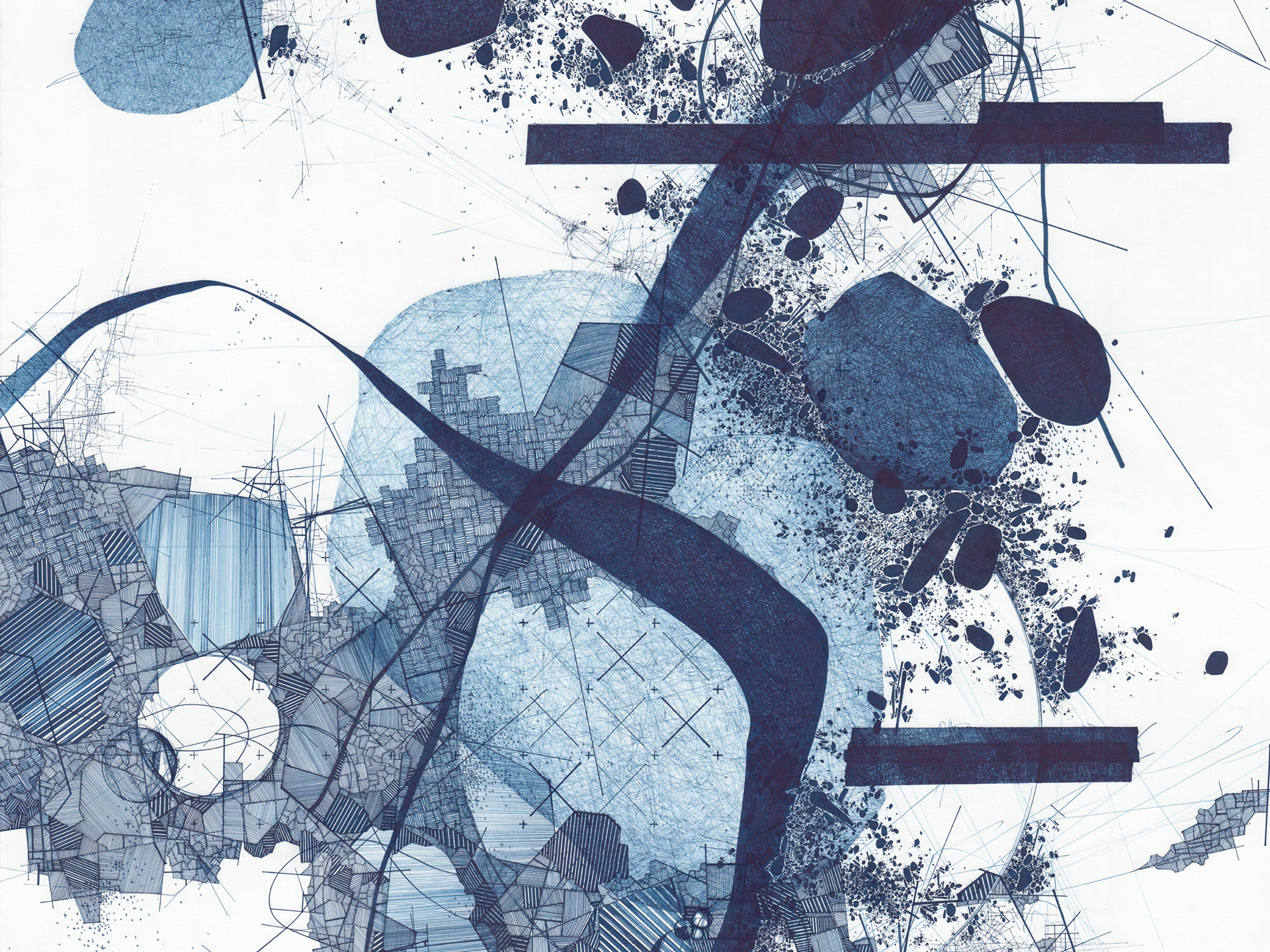 Asvirus 74, 2016 Ink on paper 63 x 42 in (1.6m x 1.1cm)