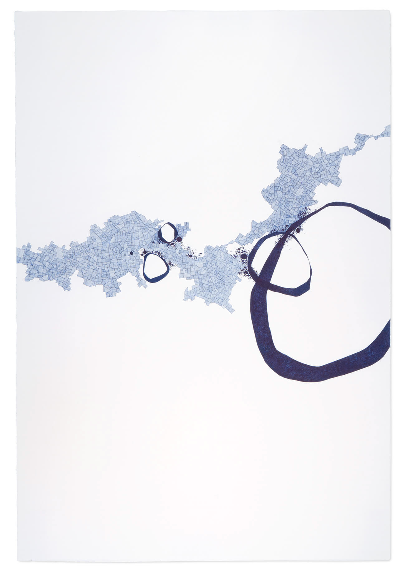 Asvirus 29, Derek Lewrner 2011 Ink on paper 44” x 30” (1.1m x 76cm)