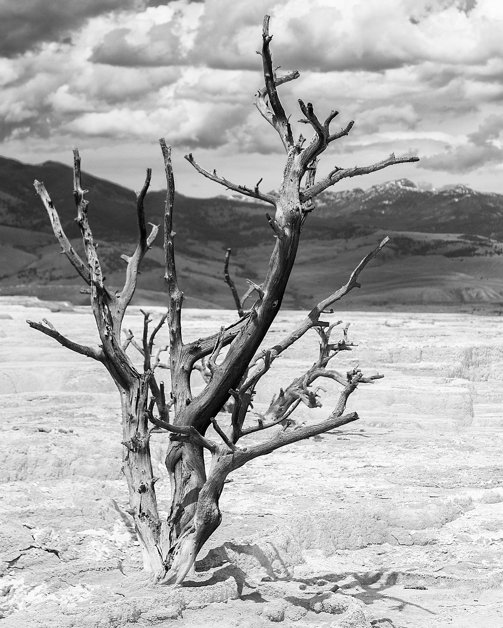 Yellowstone National Park - Wyoming