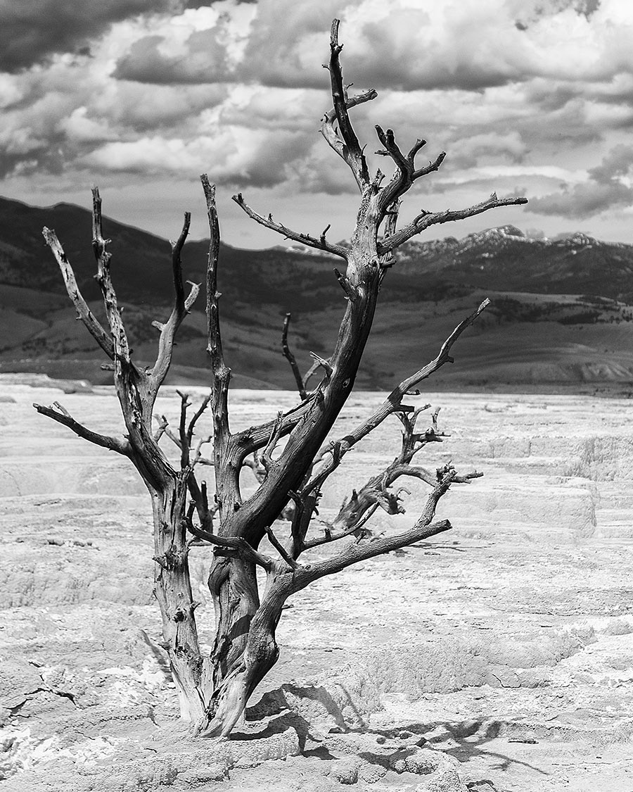 Yellowstone National Park - Wyoming