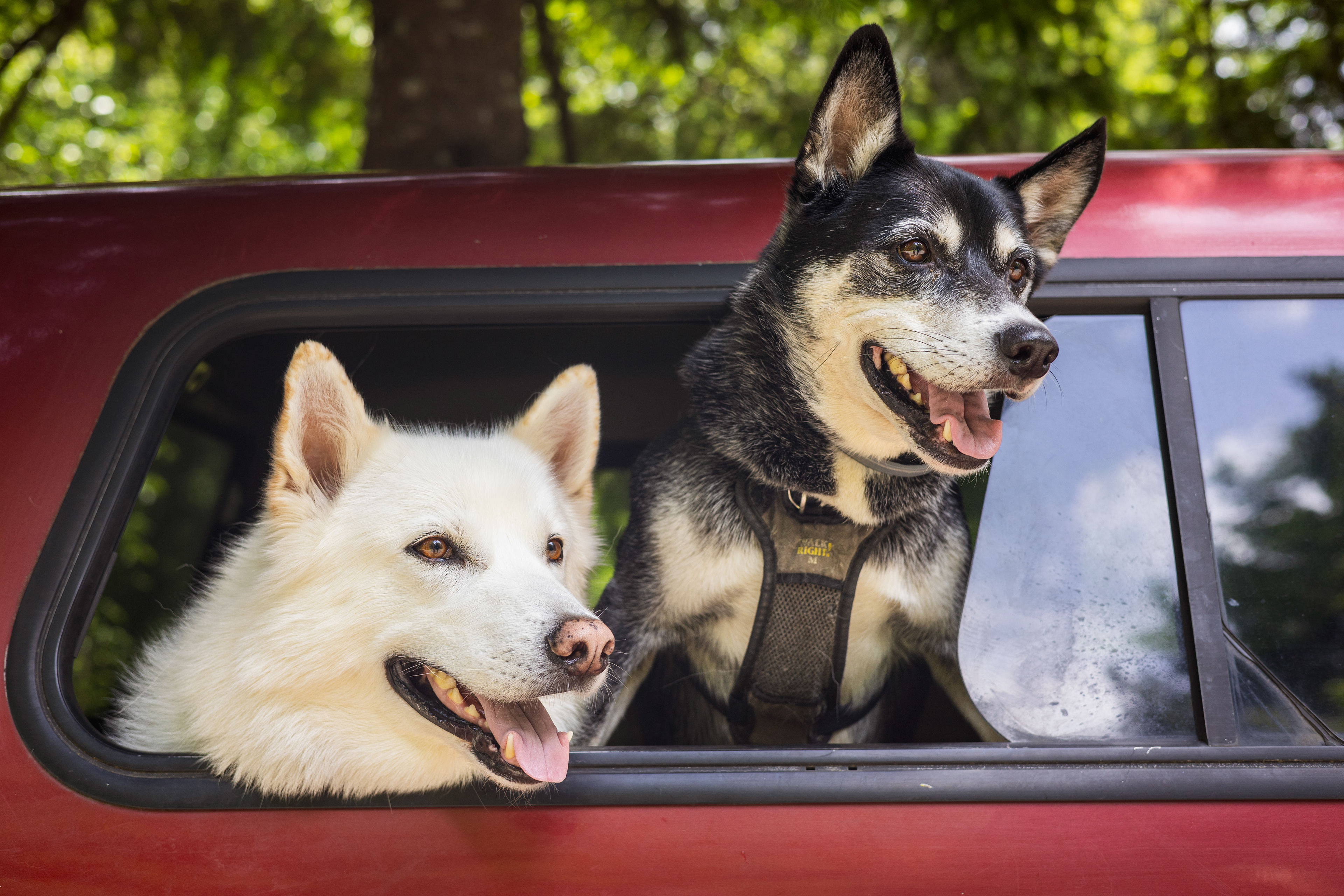 When you and your ride-or-die spot the ice cream truck.