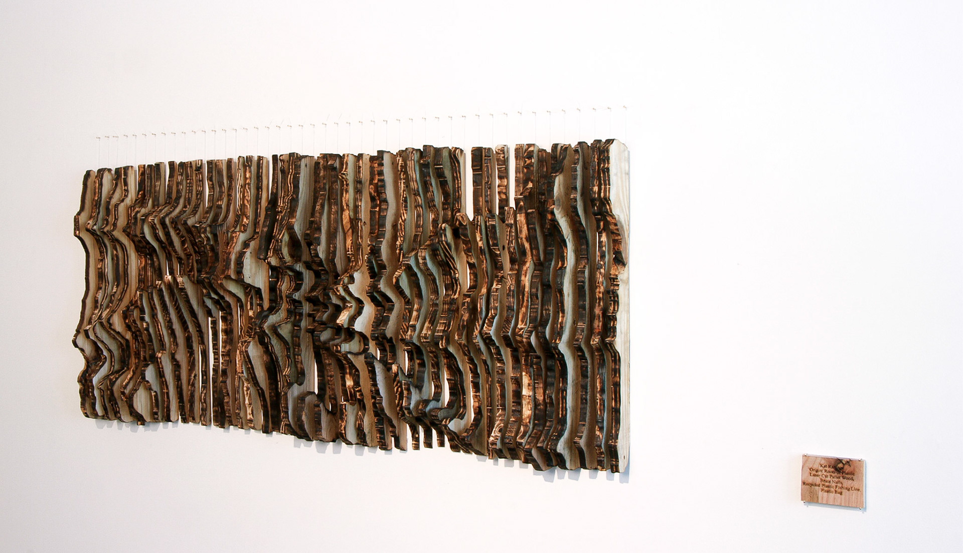 Origin: Roots of Plastic, 53x25 Inches, Locally Reclaimed Pallet Wood, Recycled Plastic Fishing Line, Brass Nails, Plastic Bag, Instillation Shot, 2019