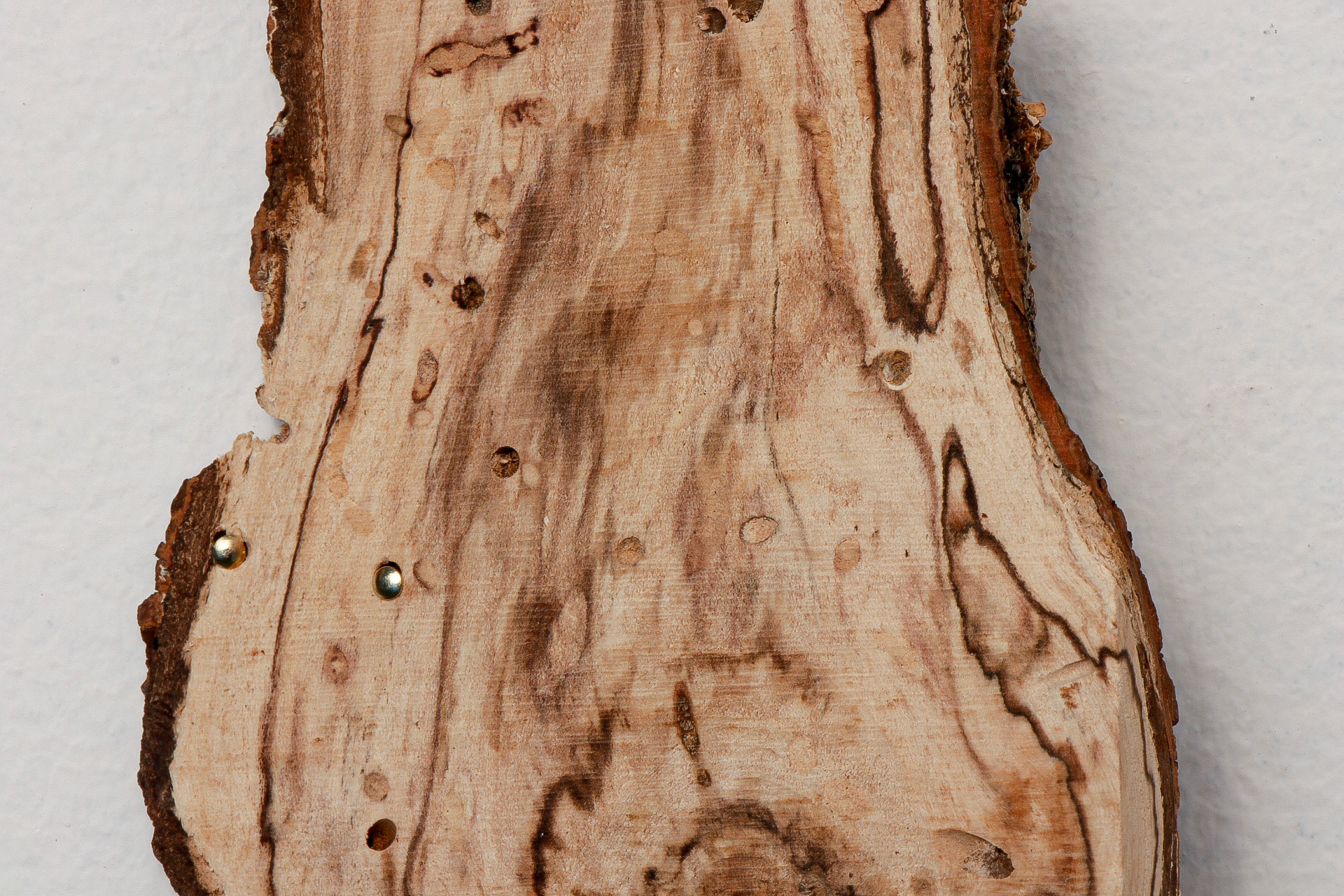 Knot Perfection, 25x15 Inches, Diseased wood, Brass Nails, Instillation Shot (Detail), 2019
