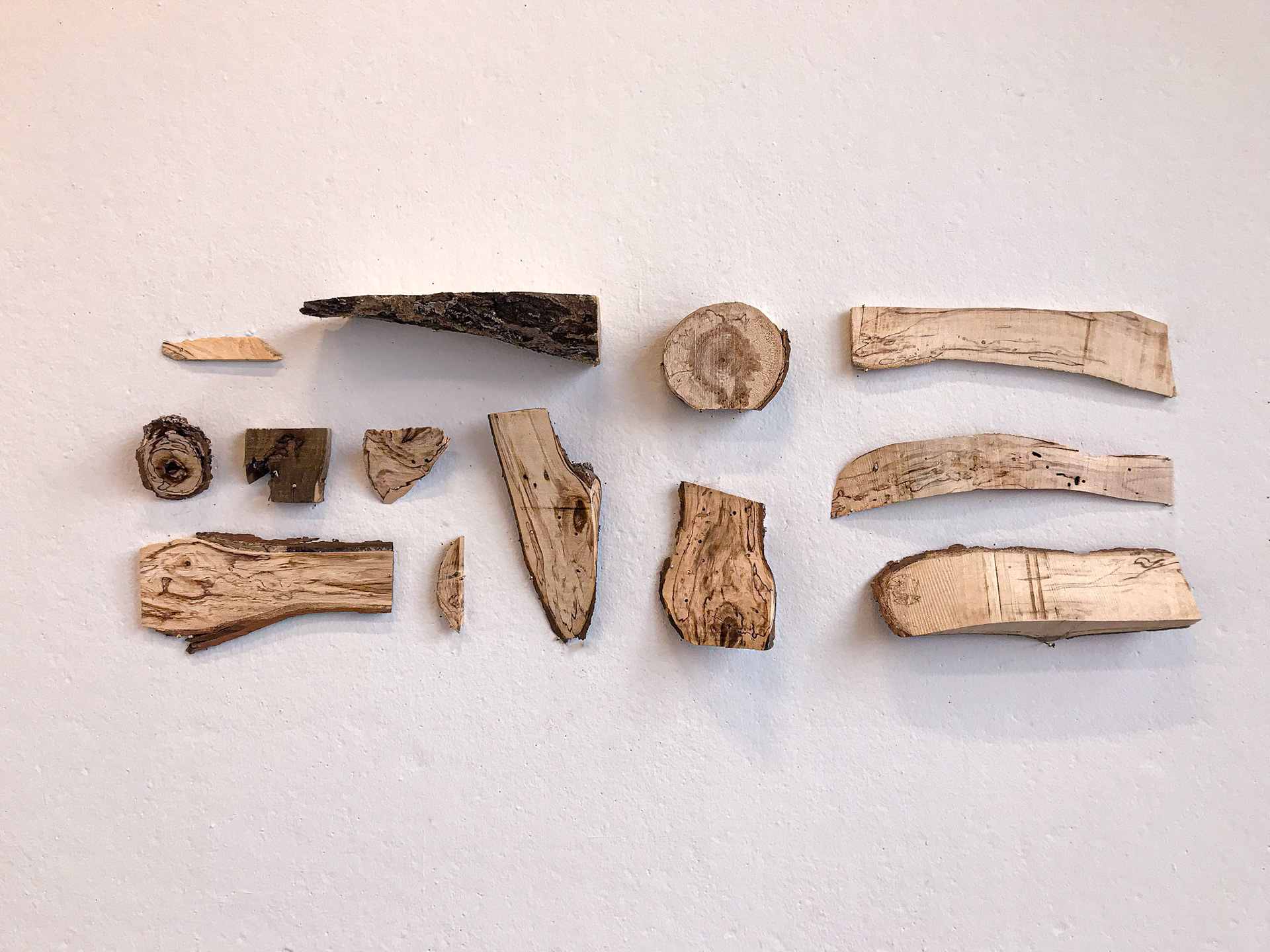 Knot Perfection, 25x15 Inches, Diseased wood, Brass Nails, Instillation Shot (Detail), 2019