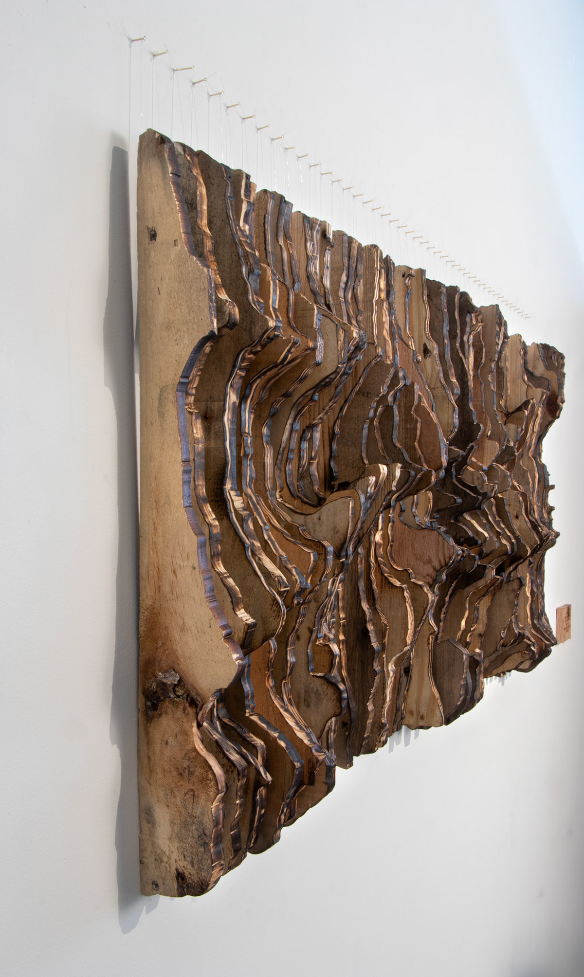 Origin: Roots of Plastic, 53x25 Inches, Locally Reclaimed Pallet Wood, Recycled Plastic Fishing Line, Brass Nails, Plastic Bag, Instillation Shot, 2019