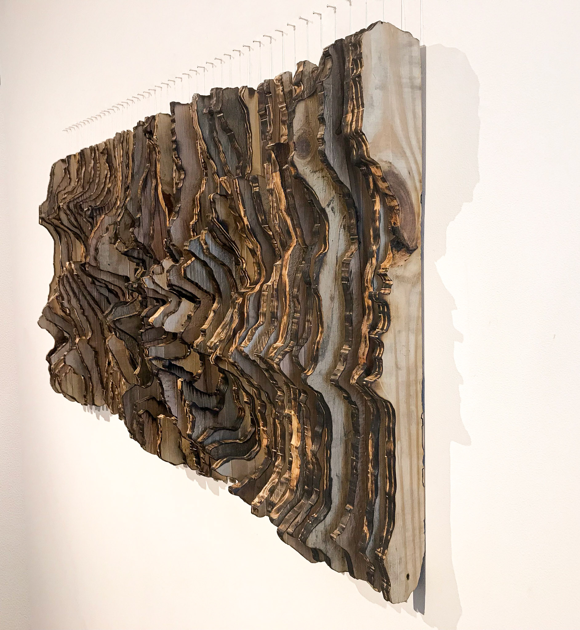 Origin: Roots of Plastic, 53x25 Inches, Locally Reclaimed Pallet Wood, Recycled Plastic Fishing Line, Brass Nails, Plastic Bag, Instillation Shot, 2019