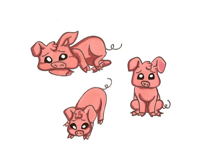 Pig