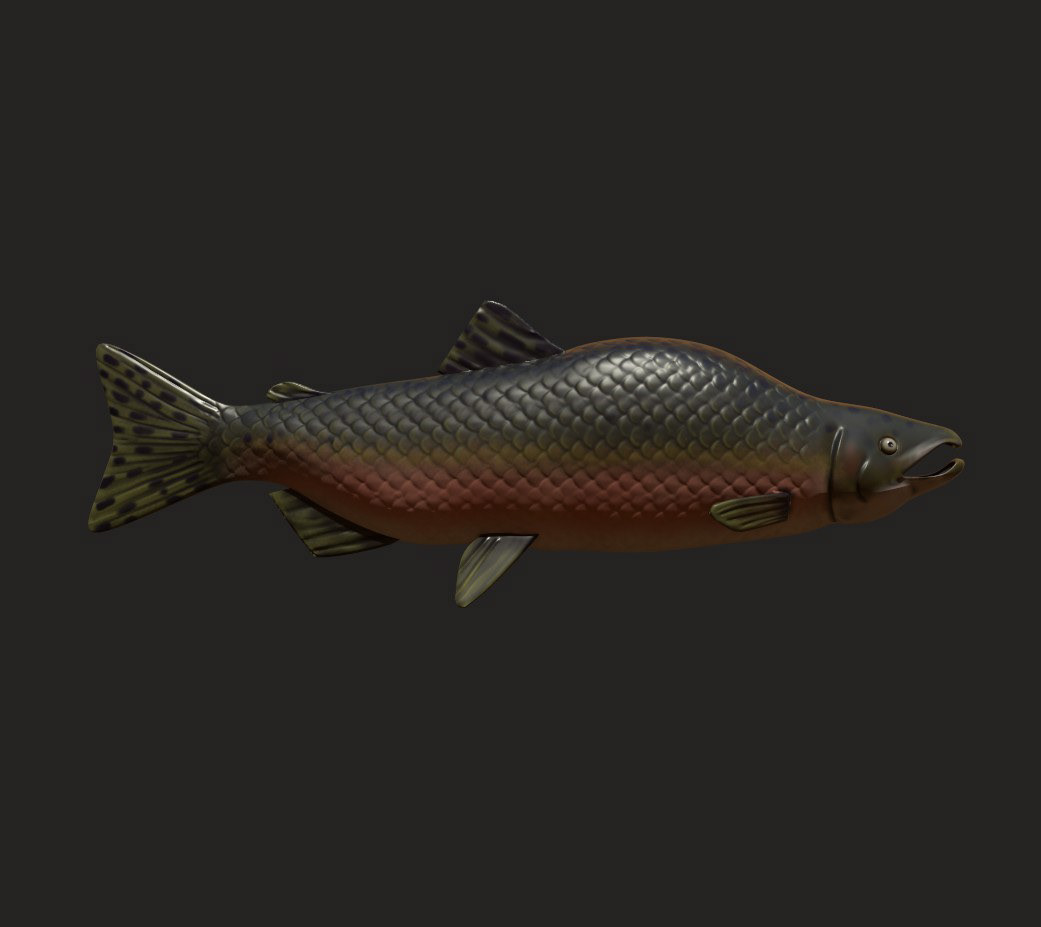 Salmon Weapon, Modeling: 3D Max, Textures: Substance Painter, Rendering: Substance Painter