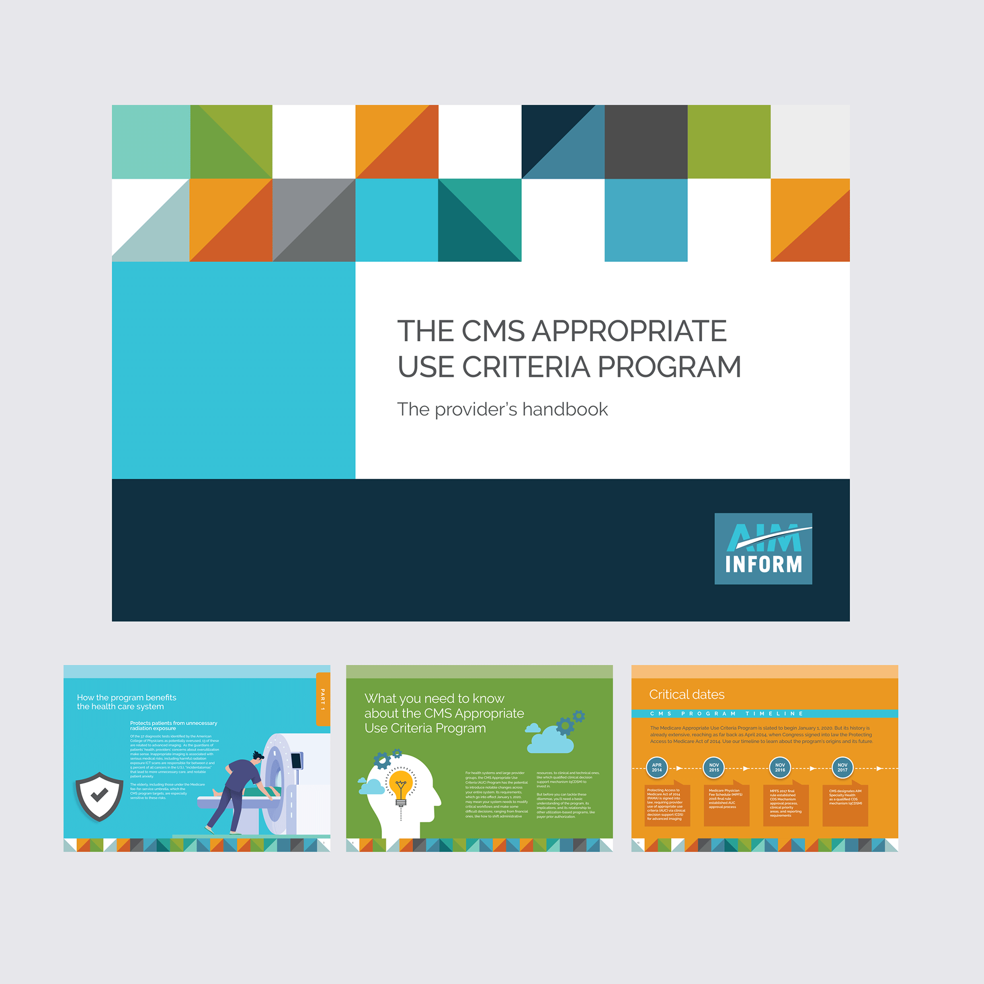 Our team collaborated to create, design and illustrate a digital e-book to educate healthcare executives about AIM Inform.