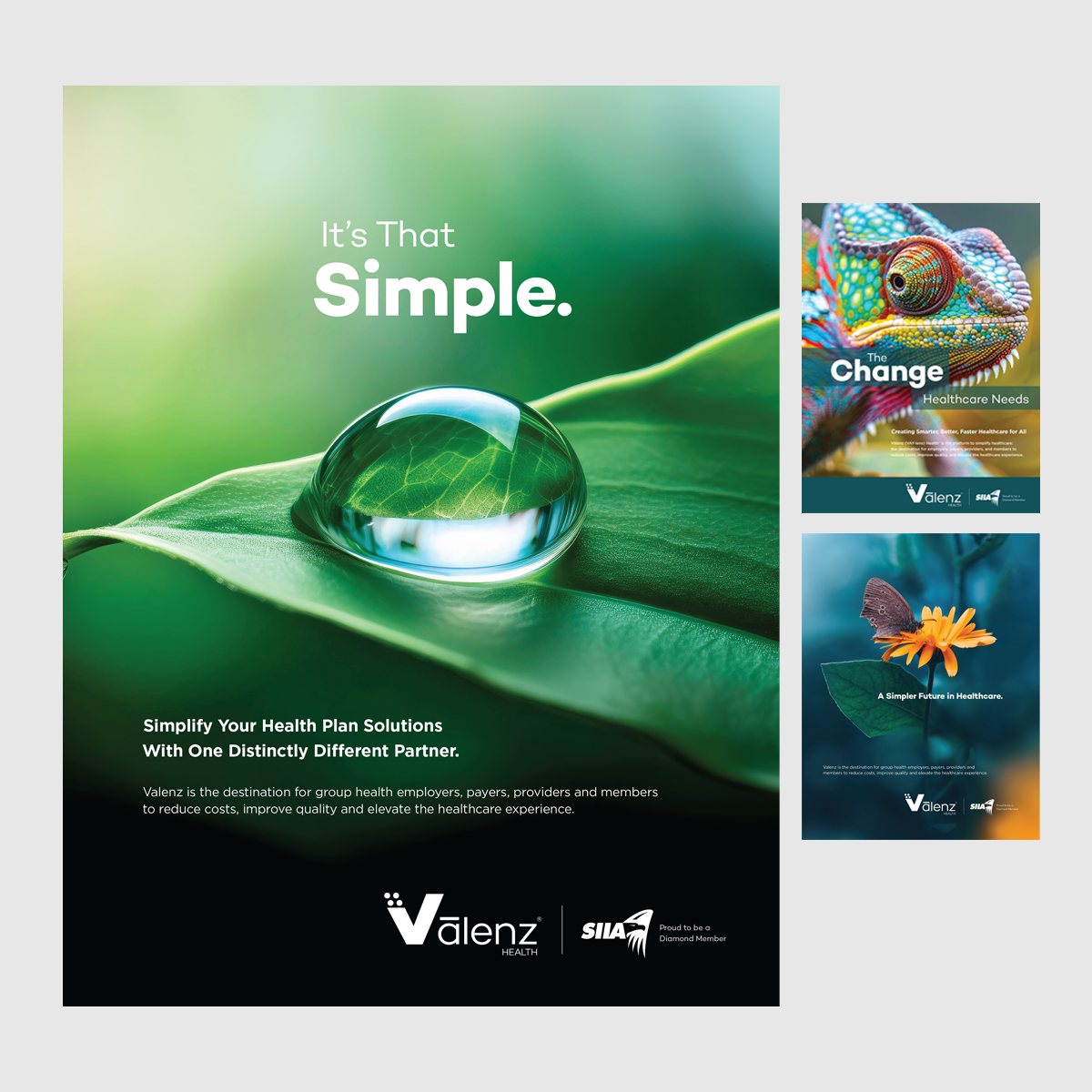 Collaborated with Dobies Health Marketing colleagues to develop and design impactful concepts for SIIA ads for Valenz Health