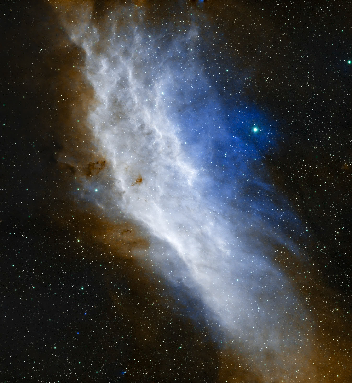California Nebula