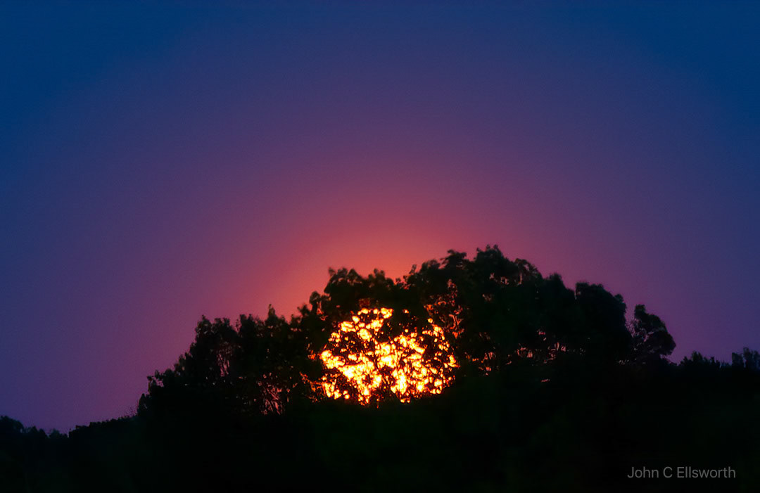 Supermoon Rising