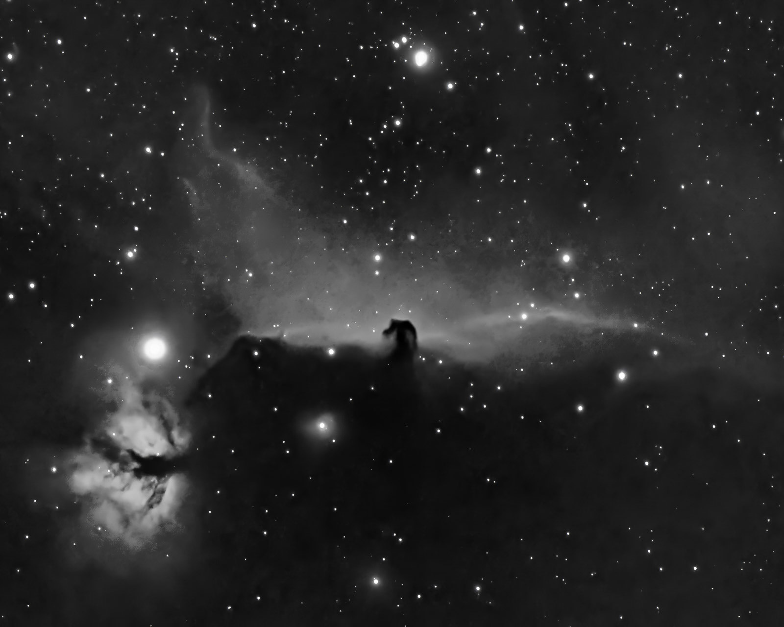 Horsehead and Flaming Nebulas—B&W