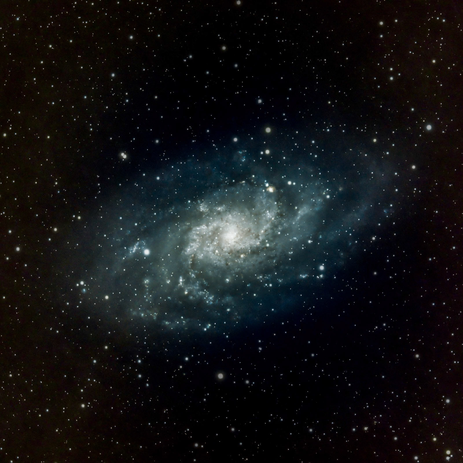 Triangulum Galaxy