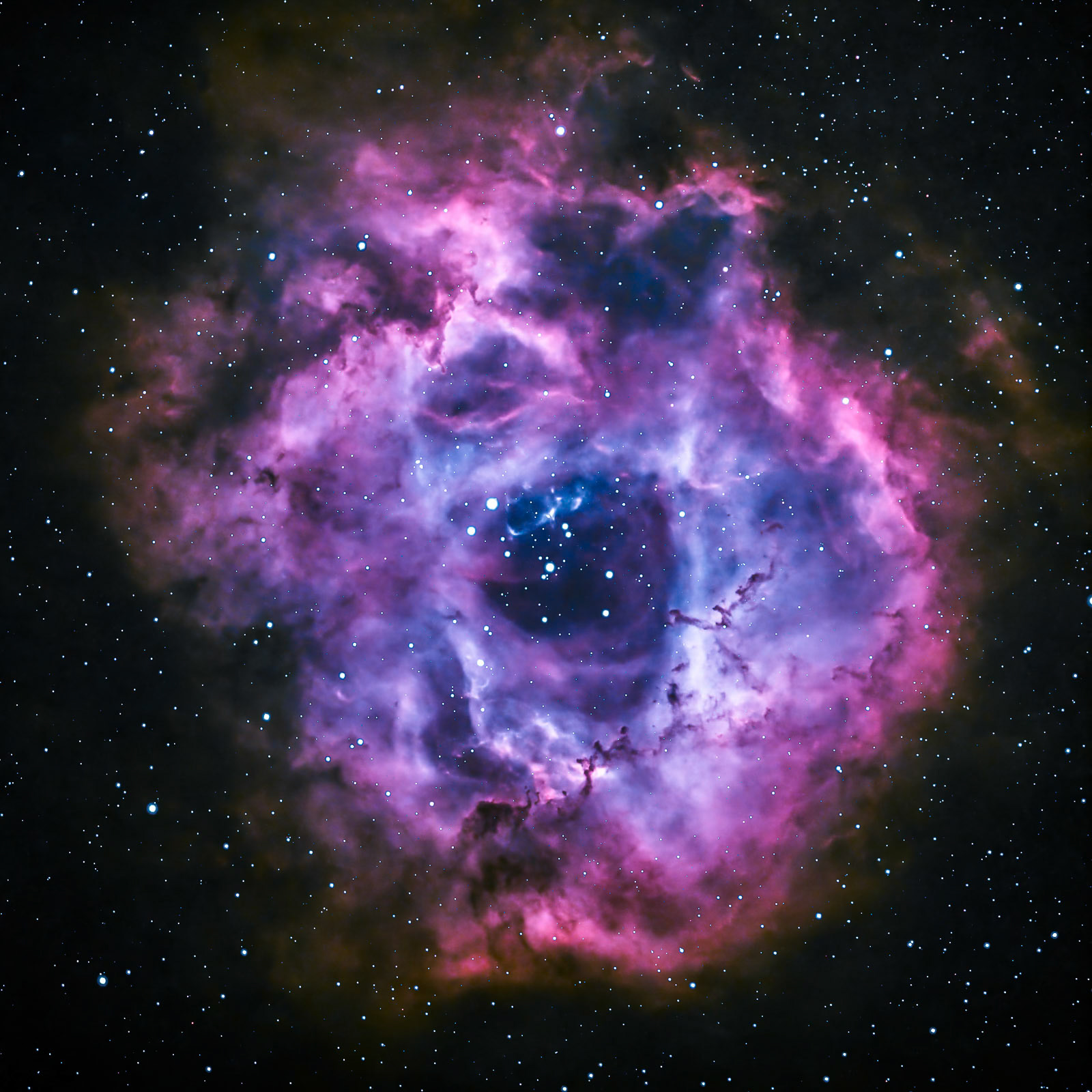 Rosette Nebula