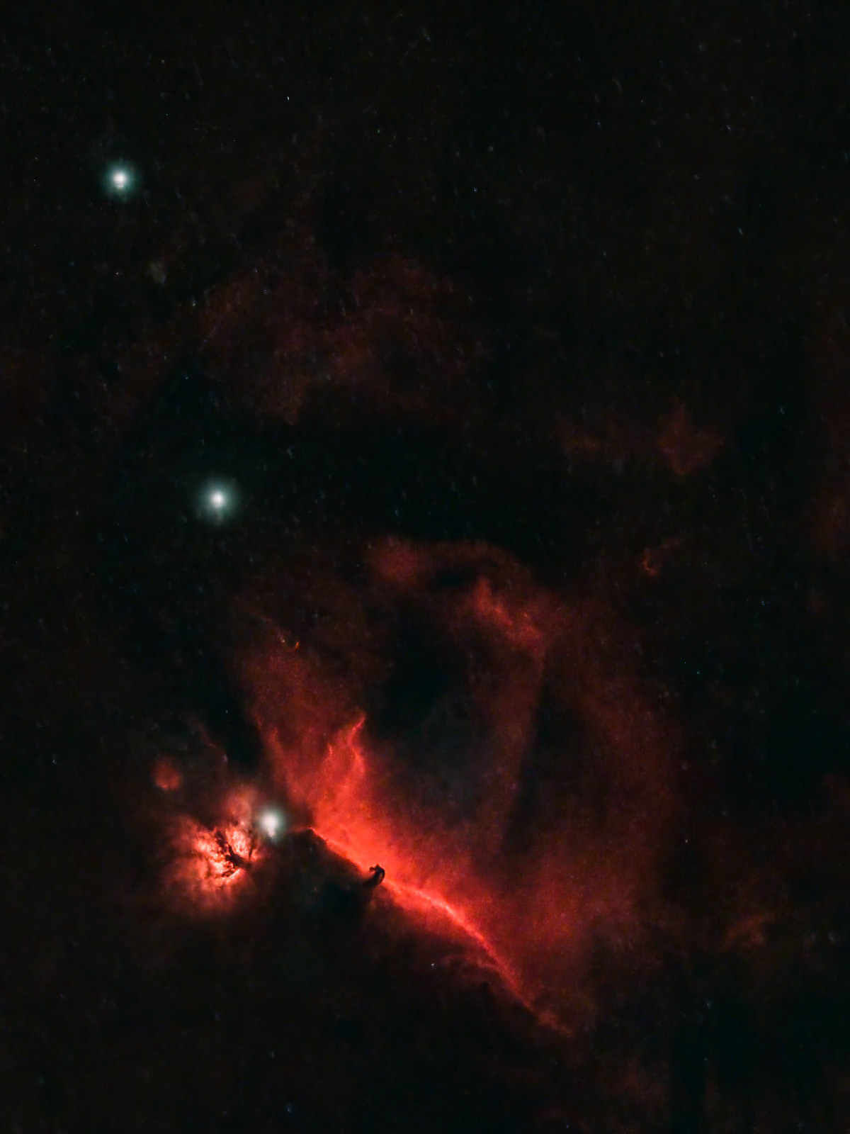 Orion's Belt and Horsehead Nebula