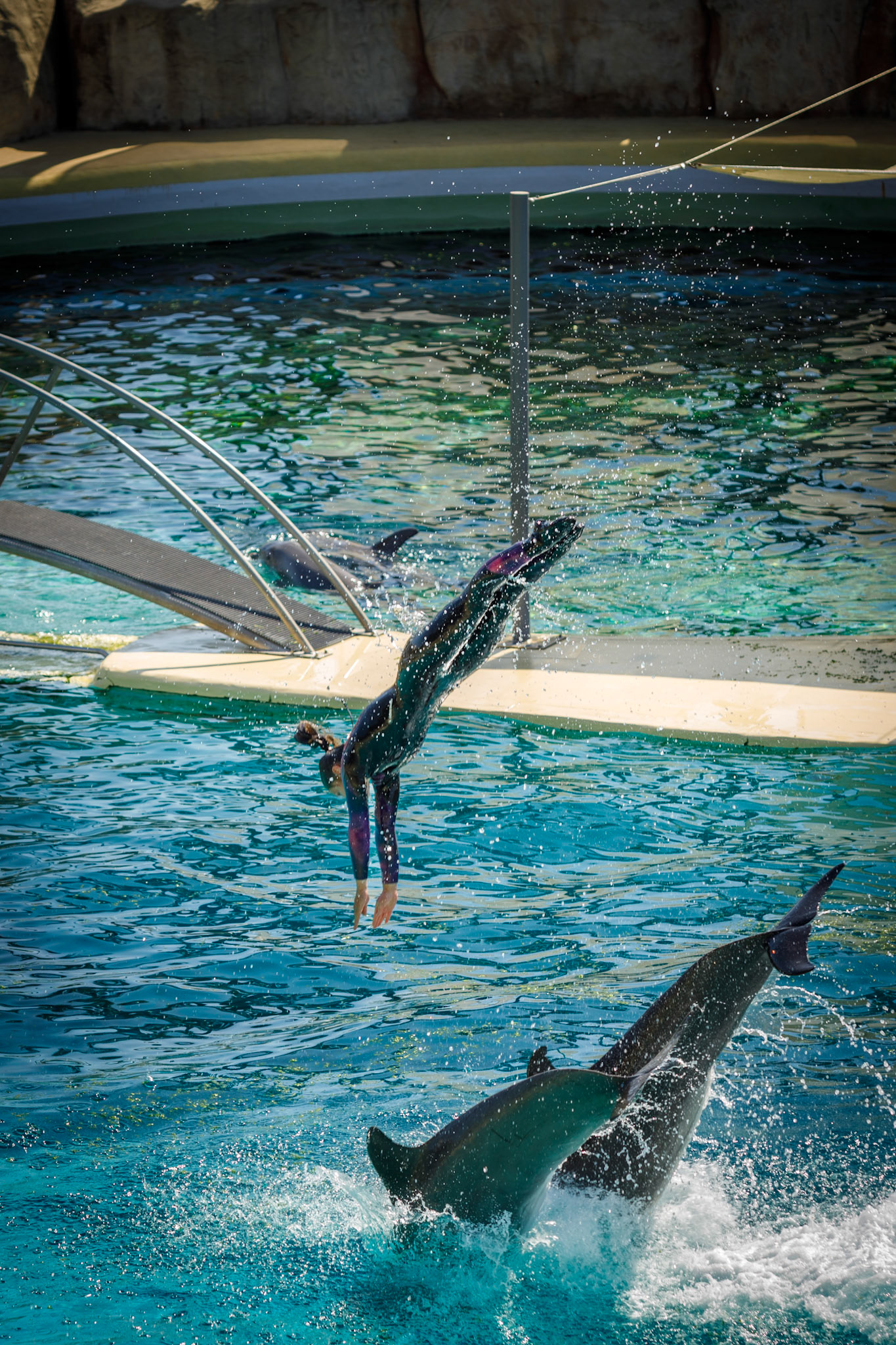 MarineLand