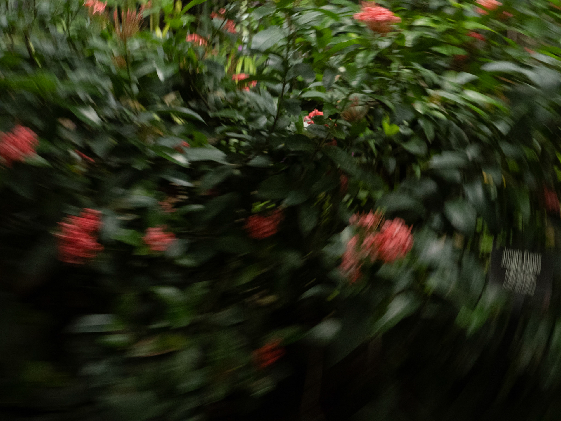 Tripping in the Conservatory