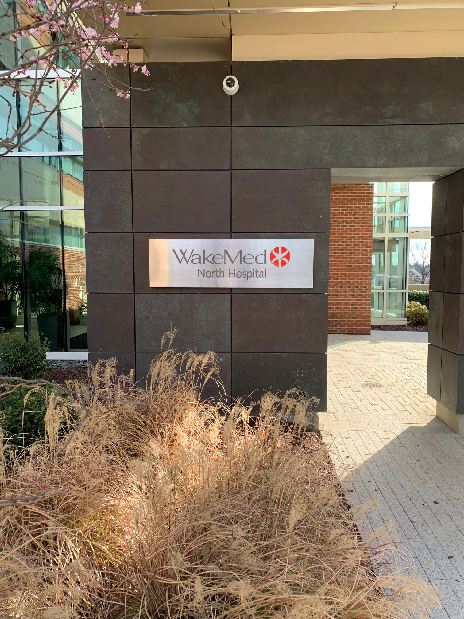 Stainless Steel Panel on Patina Wall • WakeMed North Hospital • Raleigh, NC