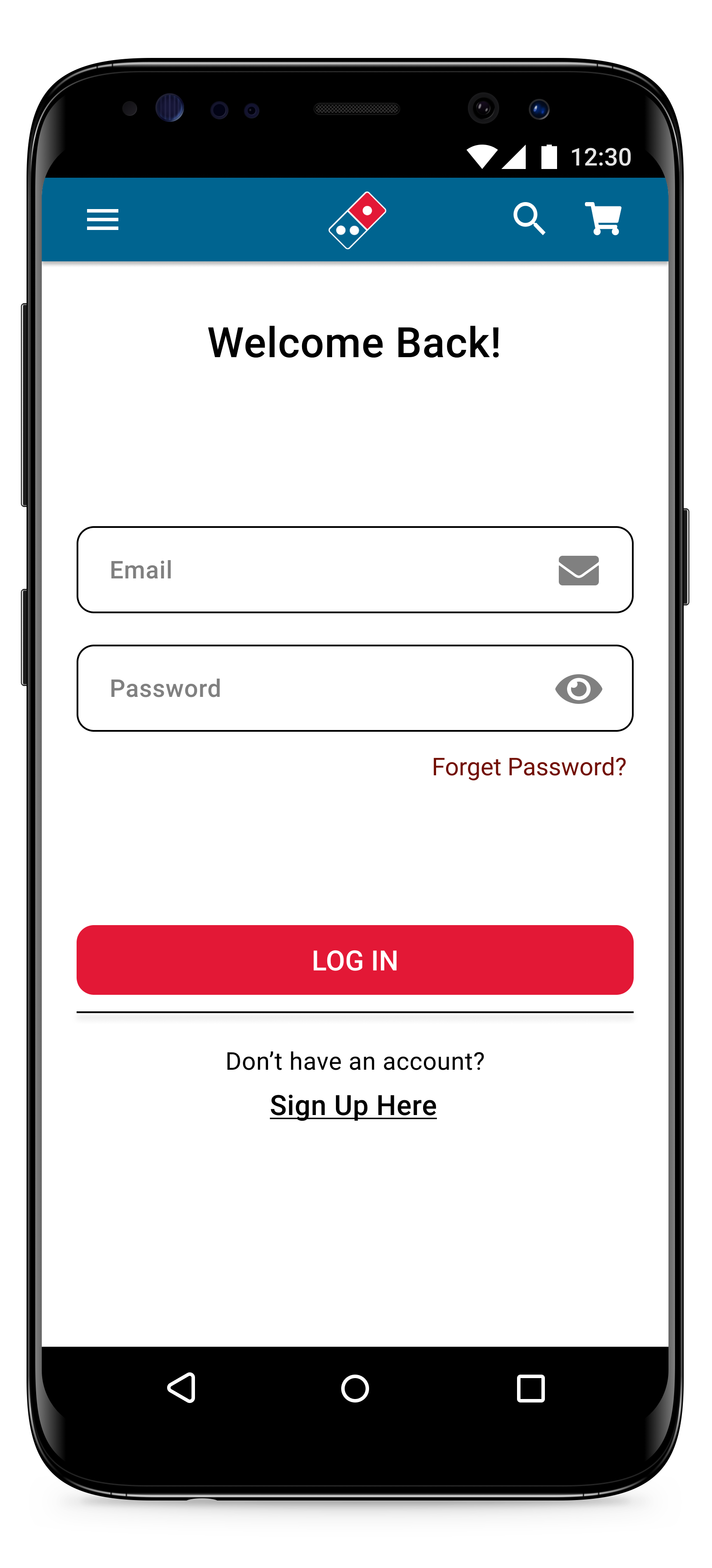 Log In - after
