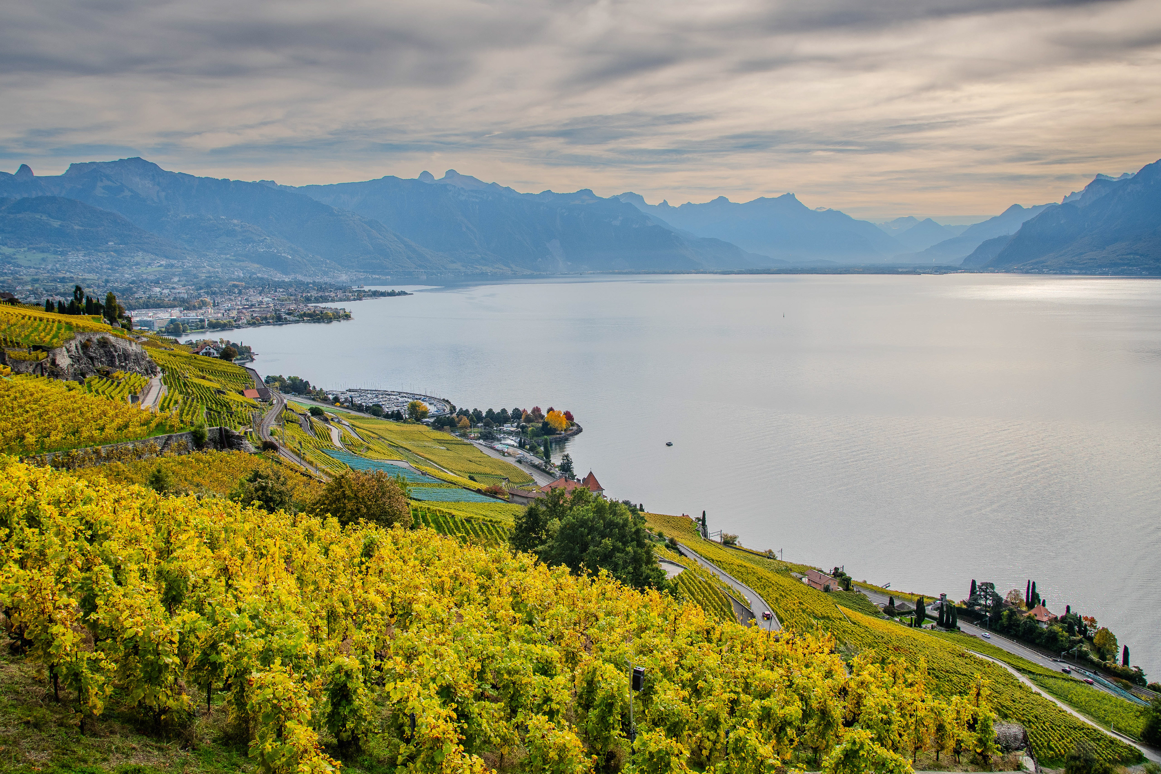Genfersee und Lavaux im herbstlichen Einklang